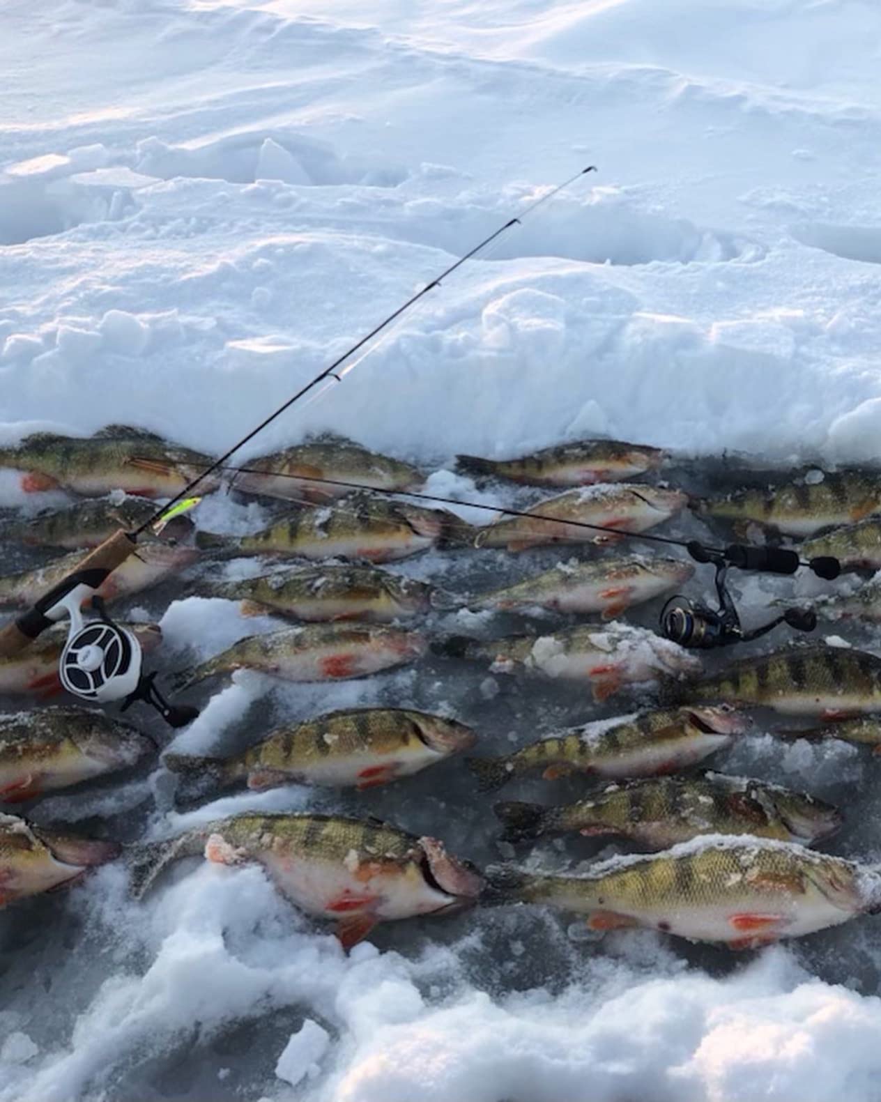 13 Fishing - Freefall Carbon - Inline Ice Fishing Reels - 2.5:1 Gear Ratio customer photo 1