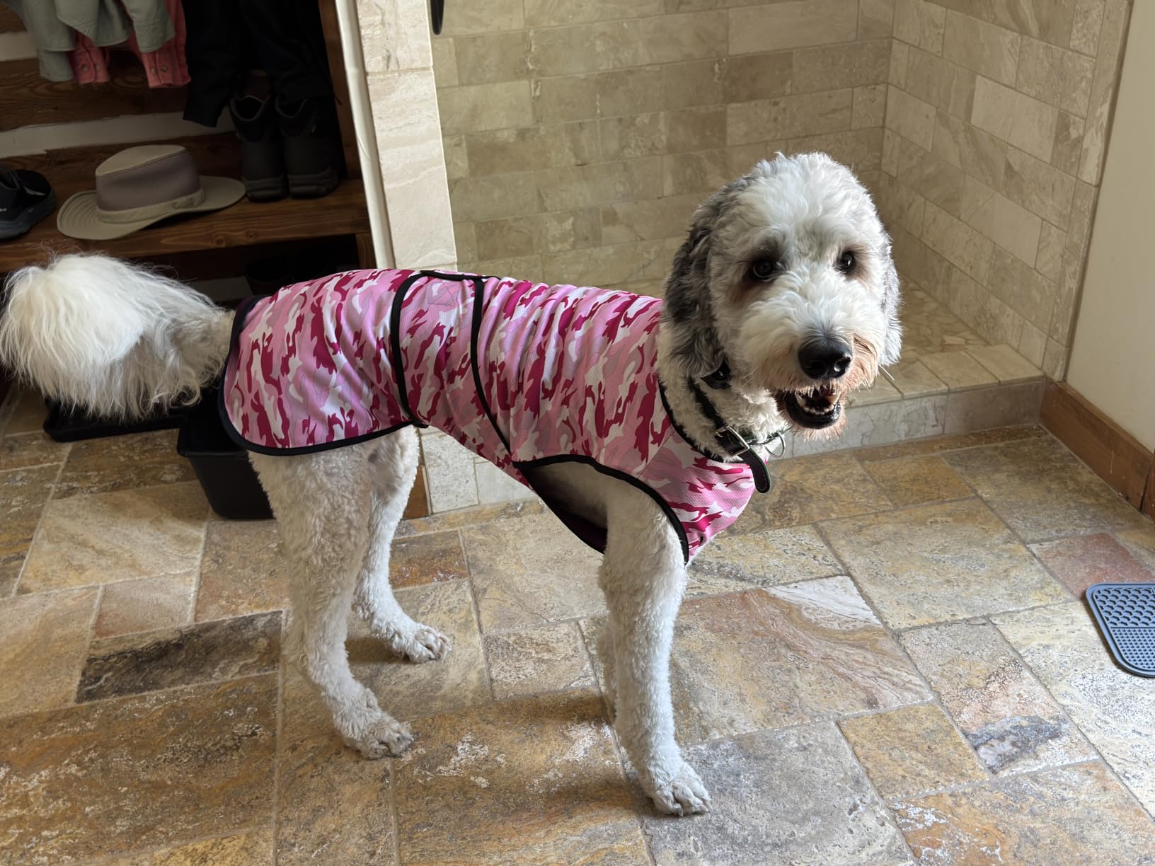 Dog Cooling Vest, 2-Layer Microfiber Cooling Jacket, Blue, L | Longer cooling duration, balanced comfort, UV protection, soft double-layer microfiber fabric customer photo 1