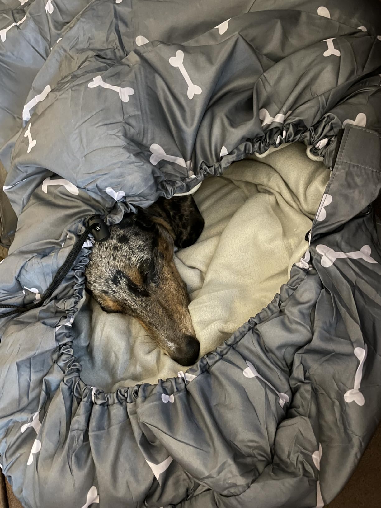 Waterproof Dog Sleeping Bag, Warm Insulated Packable Pet Bed Mat with Anti-Slip Bottom & Storage Bag, Tear-Resistant Portable Dog Bed for Indoor Car Travel Camping Hiking Backpacking customer photo 1