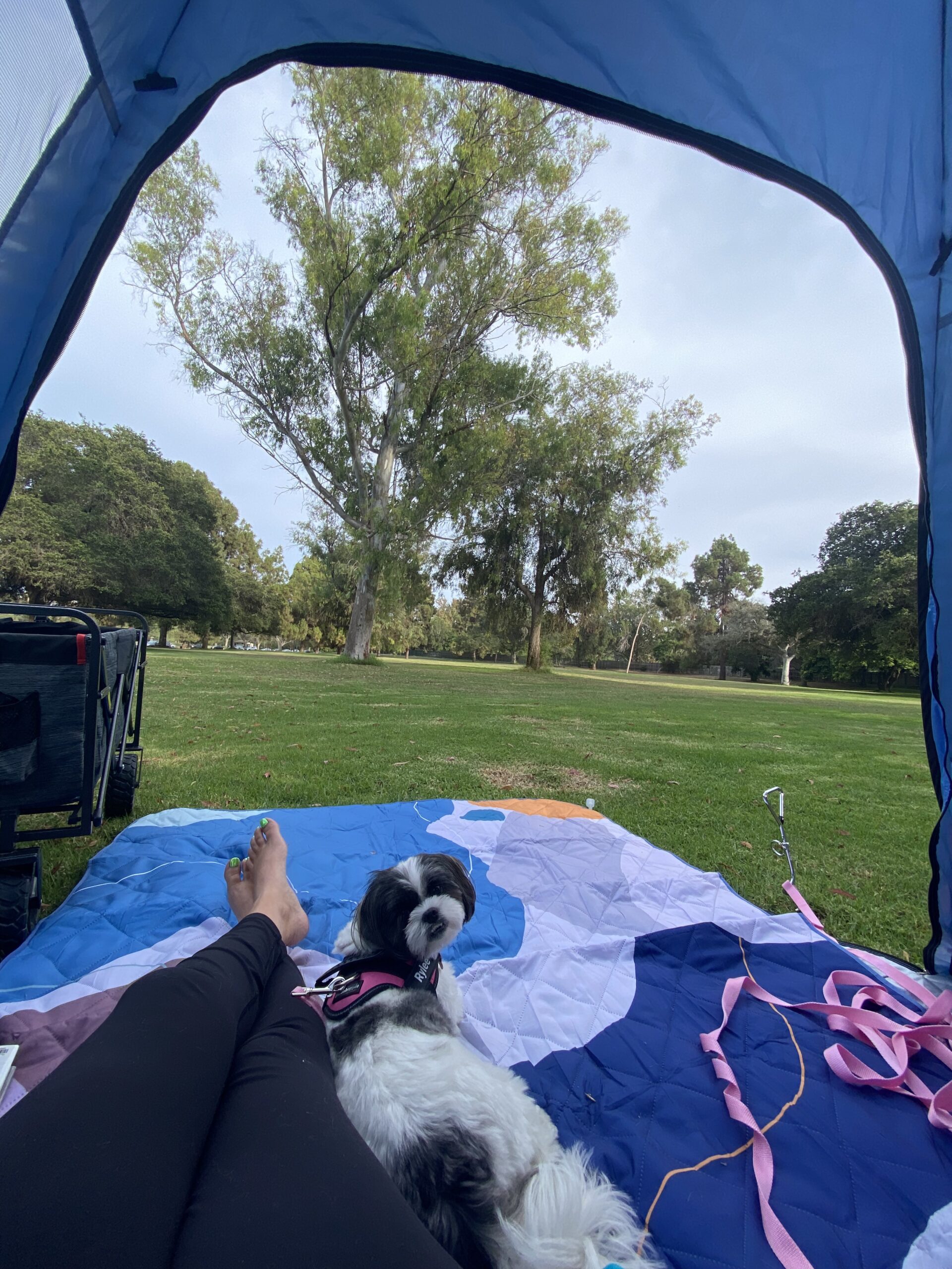 Exclusivo Mezcla Extra Large Waterproof Foldable Picnic Blanket | 3-Layer, Sandproof Outdoor Picnic Blanket for Park, Beach, Hiking, Camping Essentials, with Shoulder Strap customer photo 2