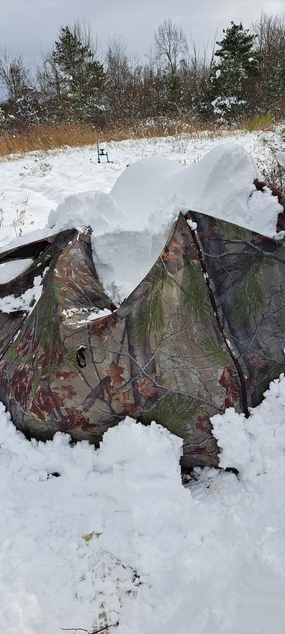 Barronett Blinds Feather Five, Portable Hunting Blind, Huge Interior, Lightweight, 4-Person, Bloodtrail Backwoods, 72 x 84 x 84, FF500BW customer photo 2