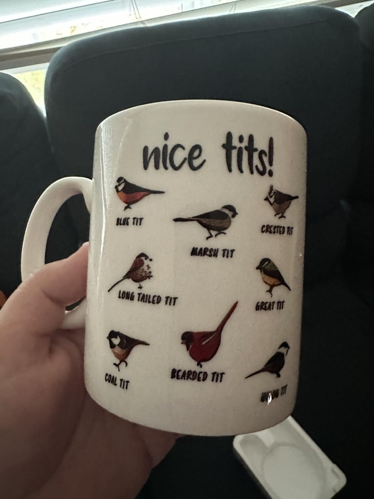 Jigfoxy Nice Tits Bird Mug, Funny Birds Coffee Mugs, Bird Watching Gifts | Gifts for Bird Lovers Women Men, 11 Oz White customer photo 2