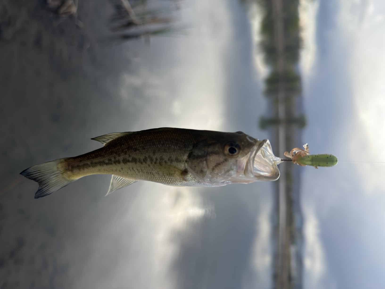 Berkley PowerBait Pre-Rigged Atomic Tubes Fishing Soft Bait customer photo 2