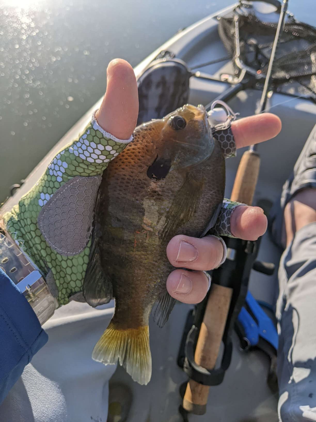 Fly Fishing Poppers, Topwater Fishing Lures Bass Crappie Bluegill Sunfish Panfish Trout Salmon Perch Steelhead Flies for Fly Fishing Bass Panfish Bluegill Trout Salmon customer photo 1