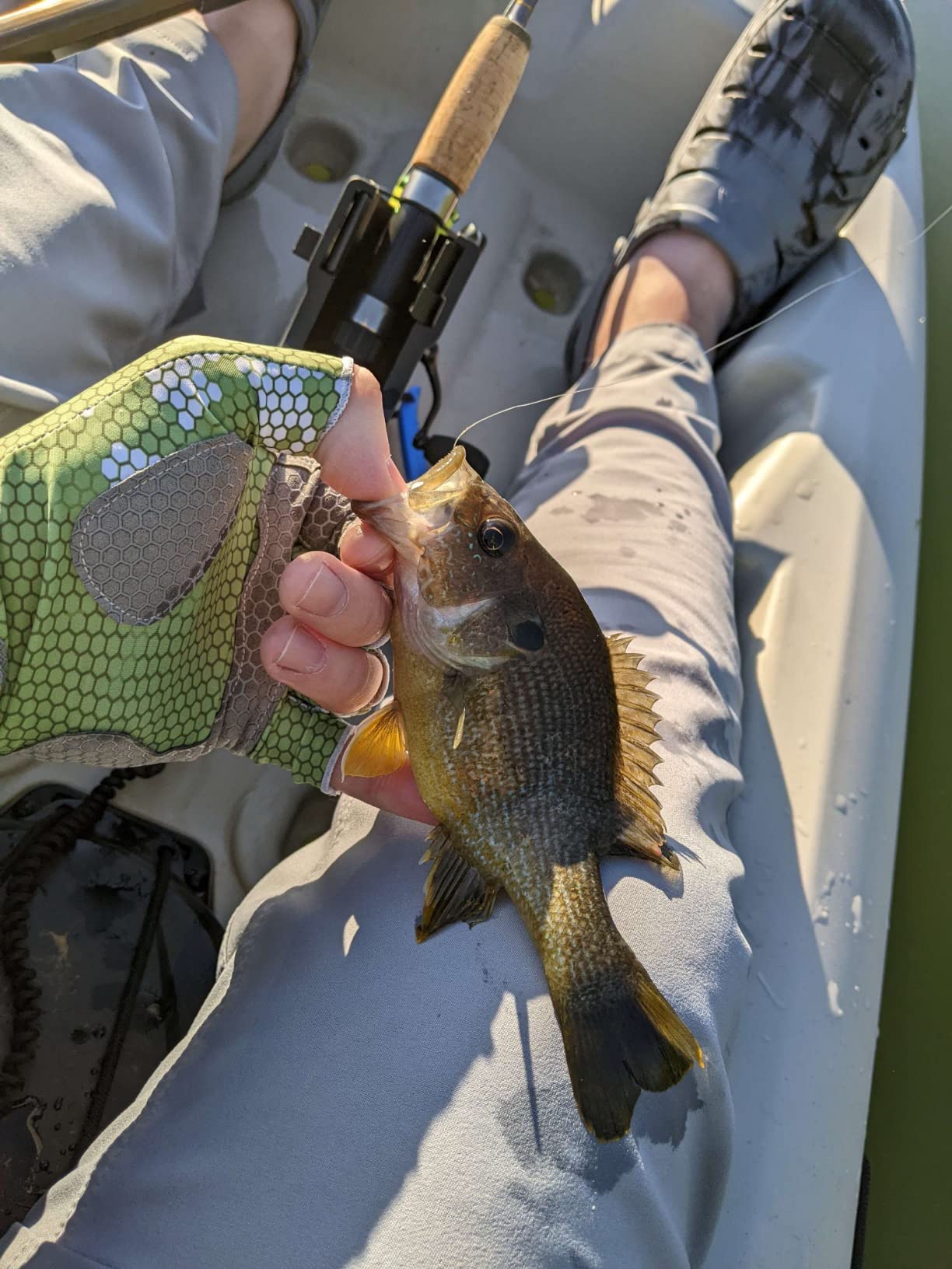 Fly Fishing Poppers, Topwater Fishing Lures Bass Crappie Bluegill Sunfish Panfish Trout Salmon Perch Steelhead Flies for Fly Fishing Bass Panfish Bluegill Trout Salmon customer photo 2