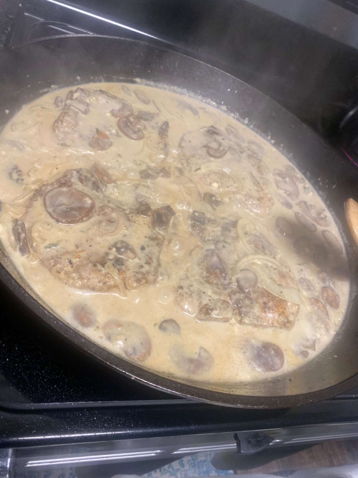 Lodge Cast Iron Wanderlust Series, Dual Handled Camper Pan, 10.25 inch customer photo 2