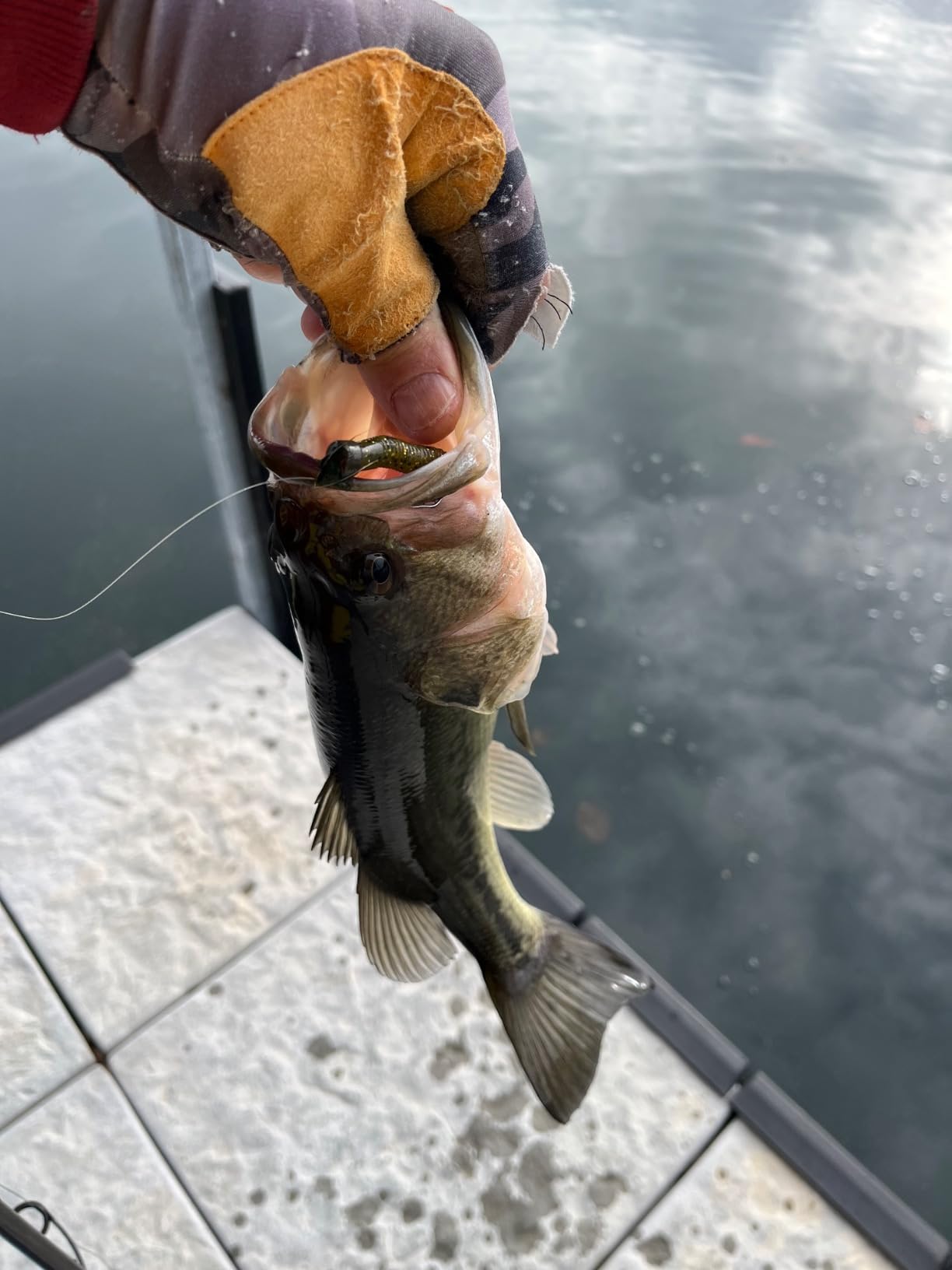 KastKing Ned Rig Jig Heads for Soft Fishing Lure Kits | Mushroom Stand-Up Design, Needle Point Hooks, Fits Soft Plastic Baits, Freshwater & Saltwater, Finesse Fishing Gear customer photo 1