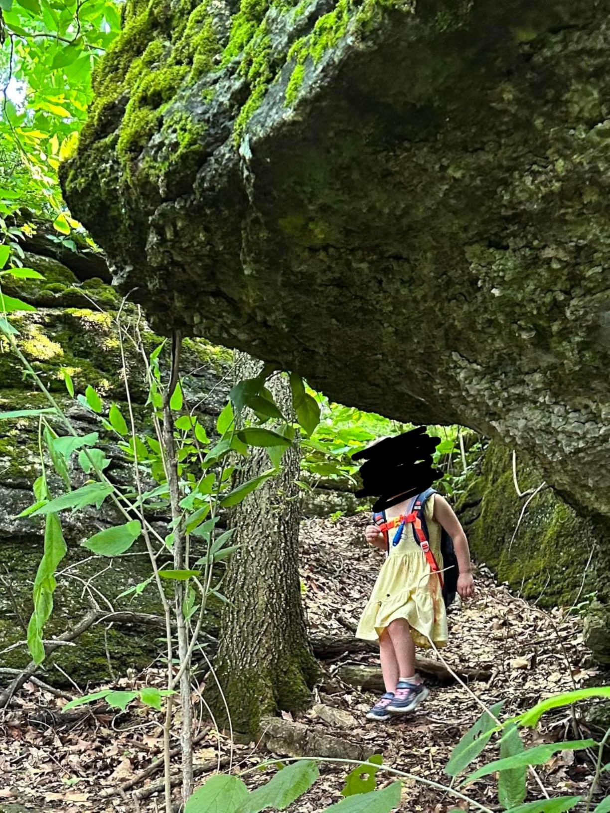 Ivygreen Kids Hydration Backpack, Hiking Backpack for Boys or Girls with 1.5L Water Bladder customer photo 2