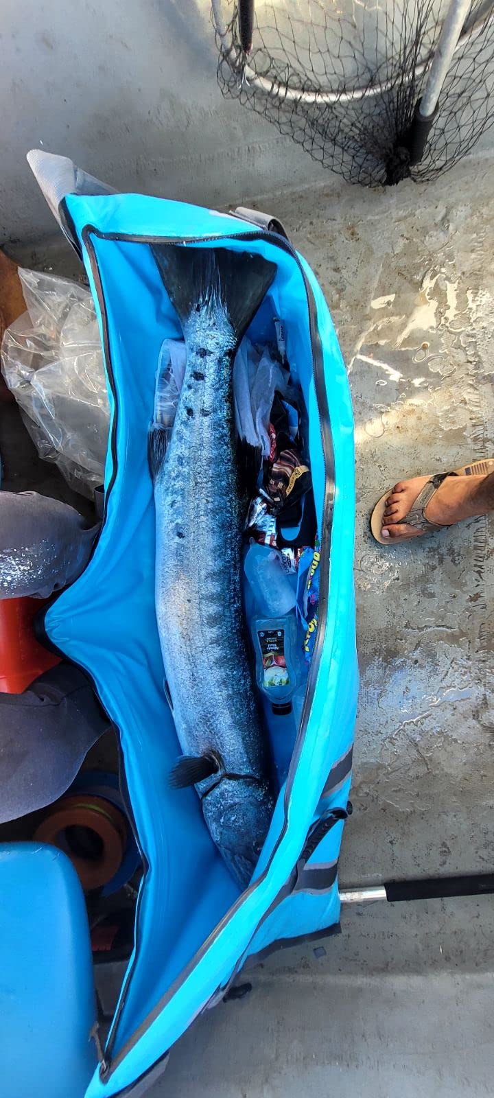 MORXPLOR Insulated Fish Cooler Bag for Fishing 41x17 47x17In 50x20In 60x24 72x30 80X40 Inches, Large Insulated Fish Kill Bag, Fishing Catch Bag Cooler with Water-resistant Zipper customer photo 1