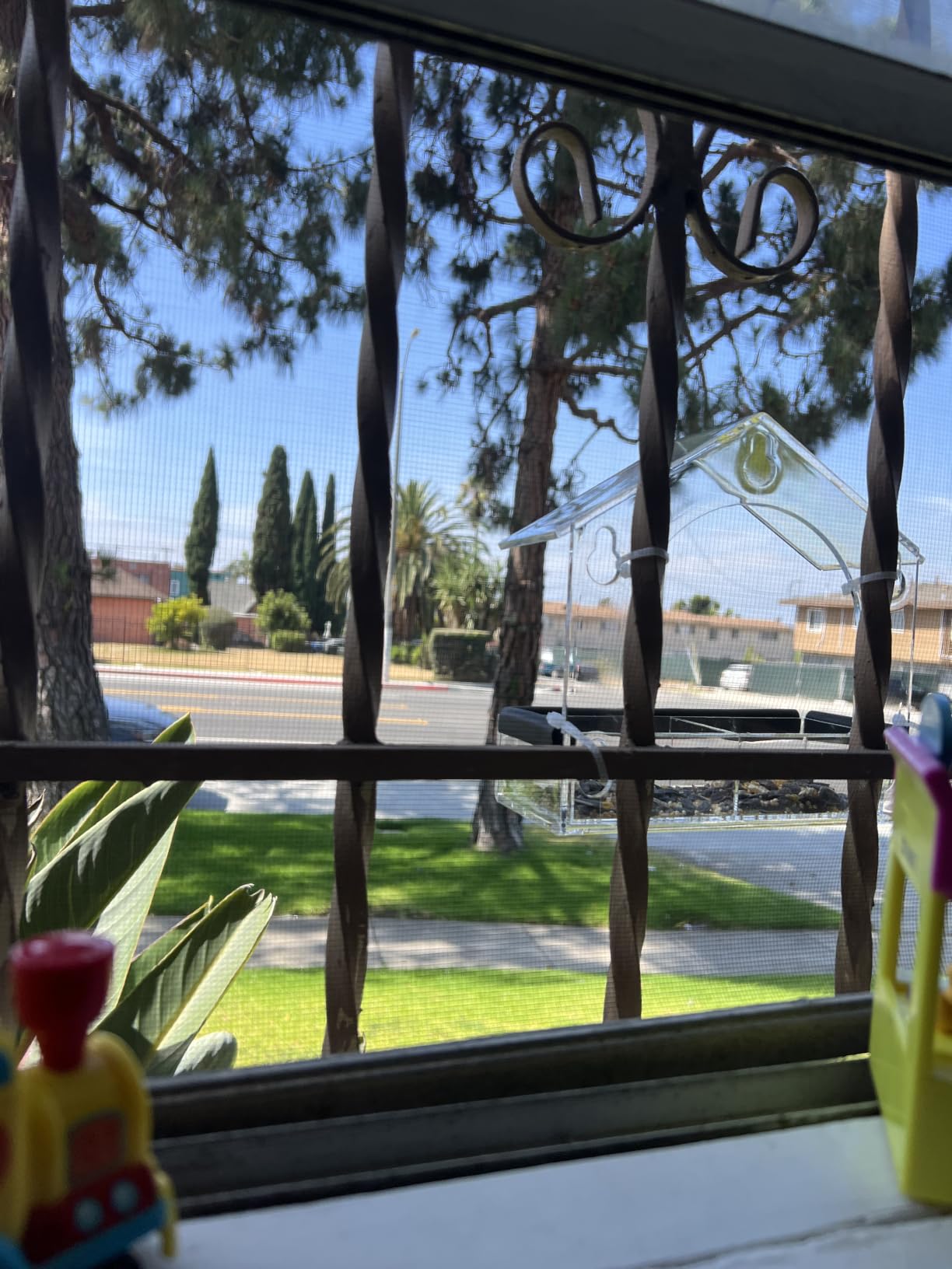 Clear Window Bird Feeder with 5 Extra Strong Suction Cups, DY-SKTY Sturdy and Durable Acrylic Birdfeeders for Viewing Wild Birds Outside customer photo 1