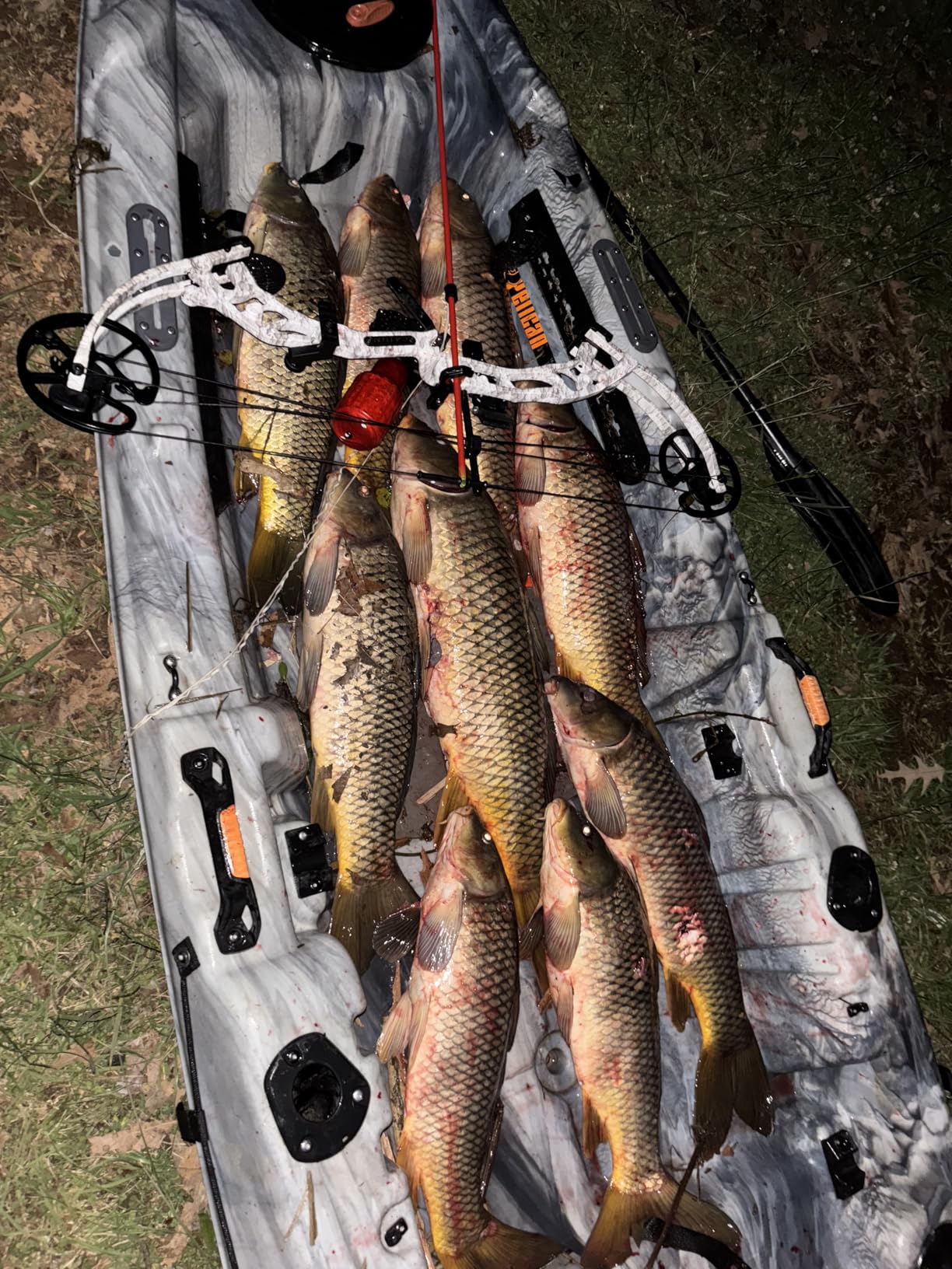 Cajun Bowfishing Sucker Punch Pro Bowfishing Bow customer photo 1