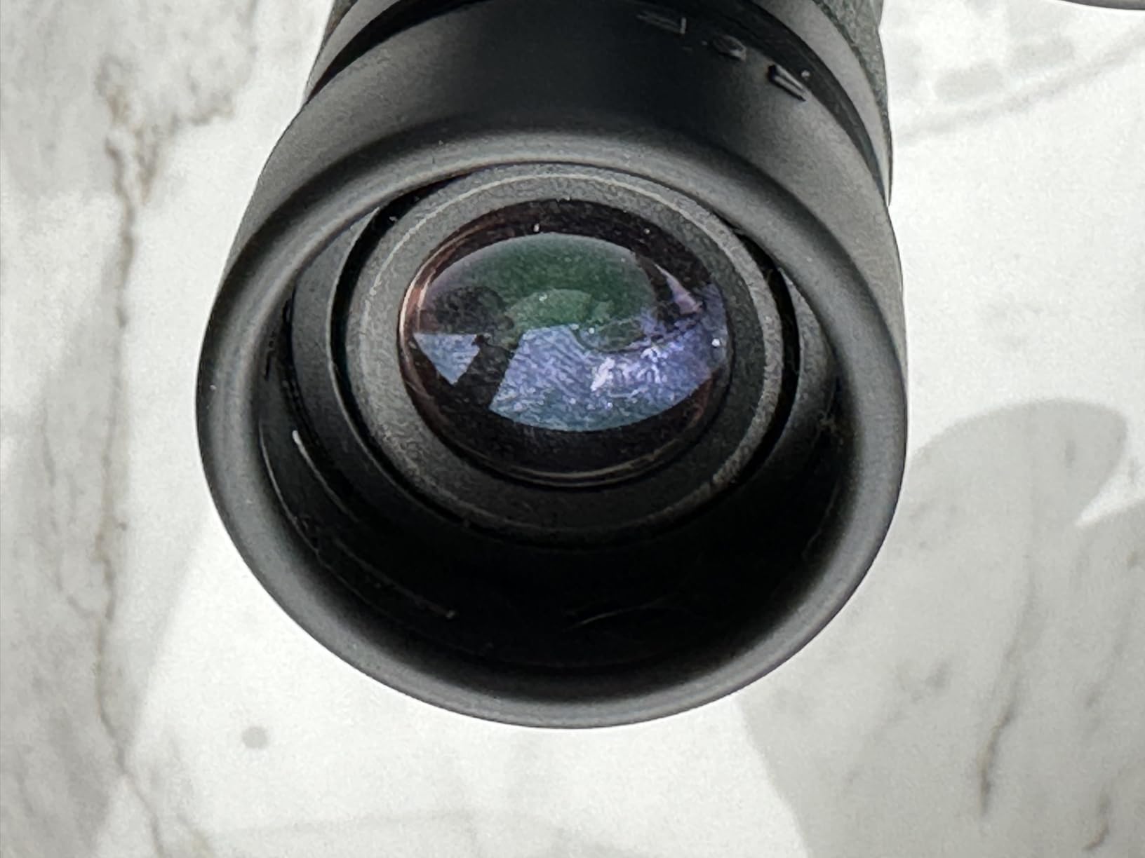Nikon Prostaff P7 10x42 Waterproof Roof Prism Binoculars | 10x Magnification, 42mm Objectives, 7 Degree Real FOV, 62.9 Degree Apparent, Waterproof and Fogproof, 600 G customer photo 2