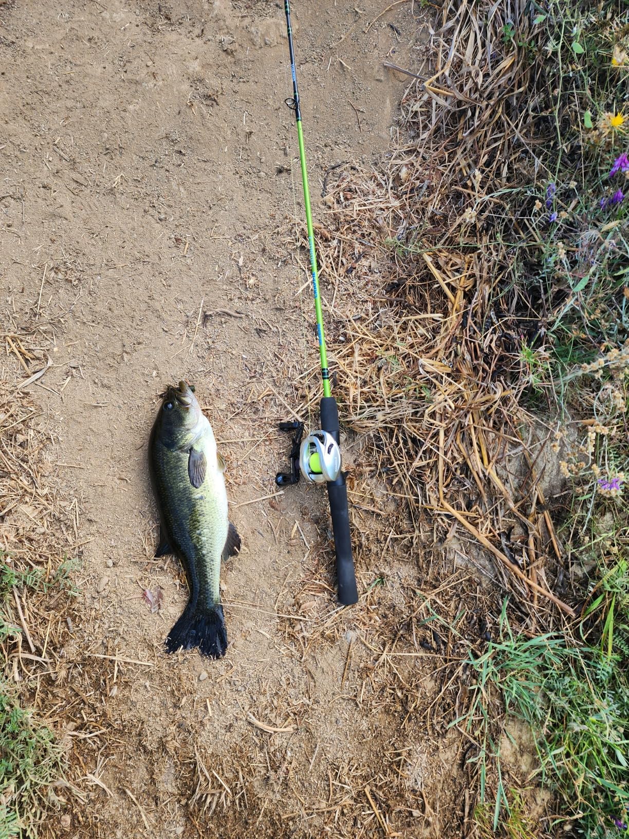 Lew's Crappie Thunder Spinning Fishing Rod, Light Power, Fast Action, Premium 2-Piece Graphite Blank, EVA Split Grip Handle customer photo 1