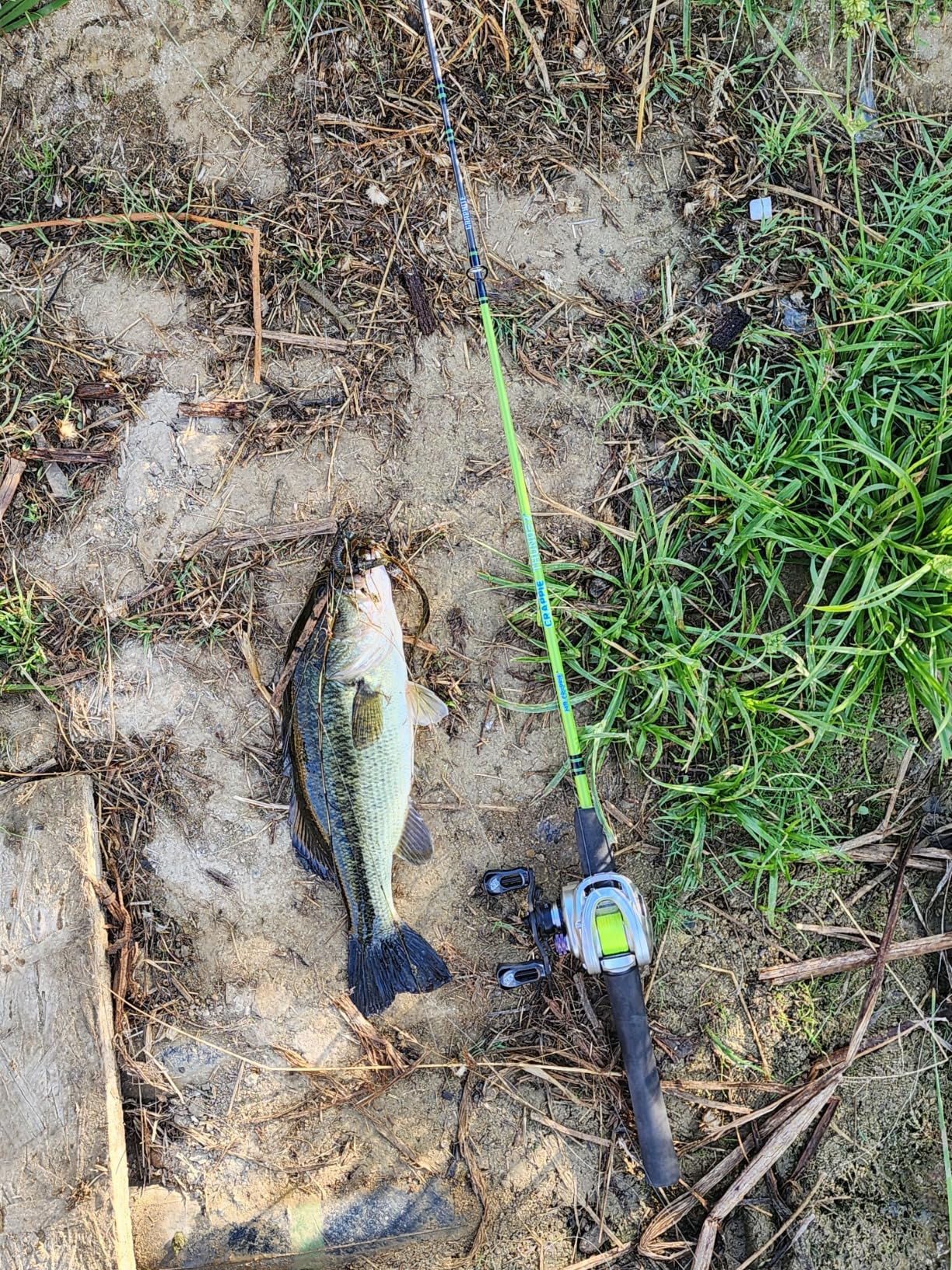 Lew's Crappie Thunder Spinning Fishing Rod, Light Power, Fast Action, Premium 2-Piece Graphite Blank, EVA Split Grip Handle customer photo 2