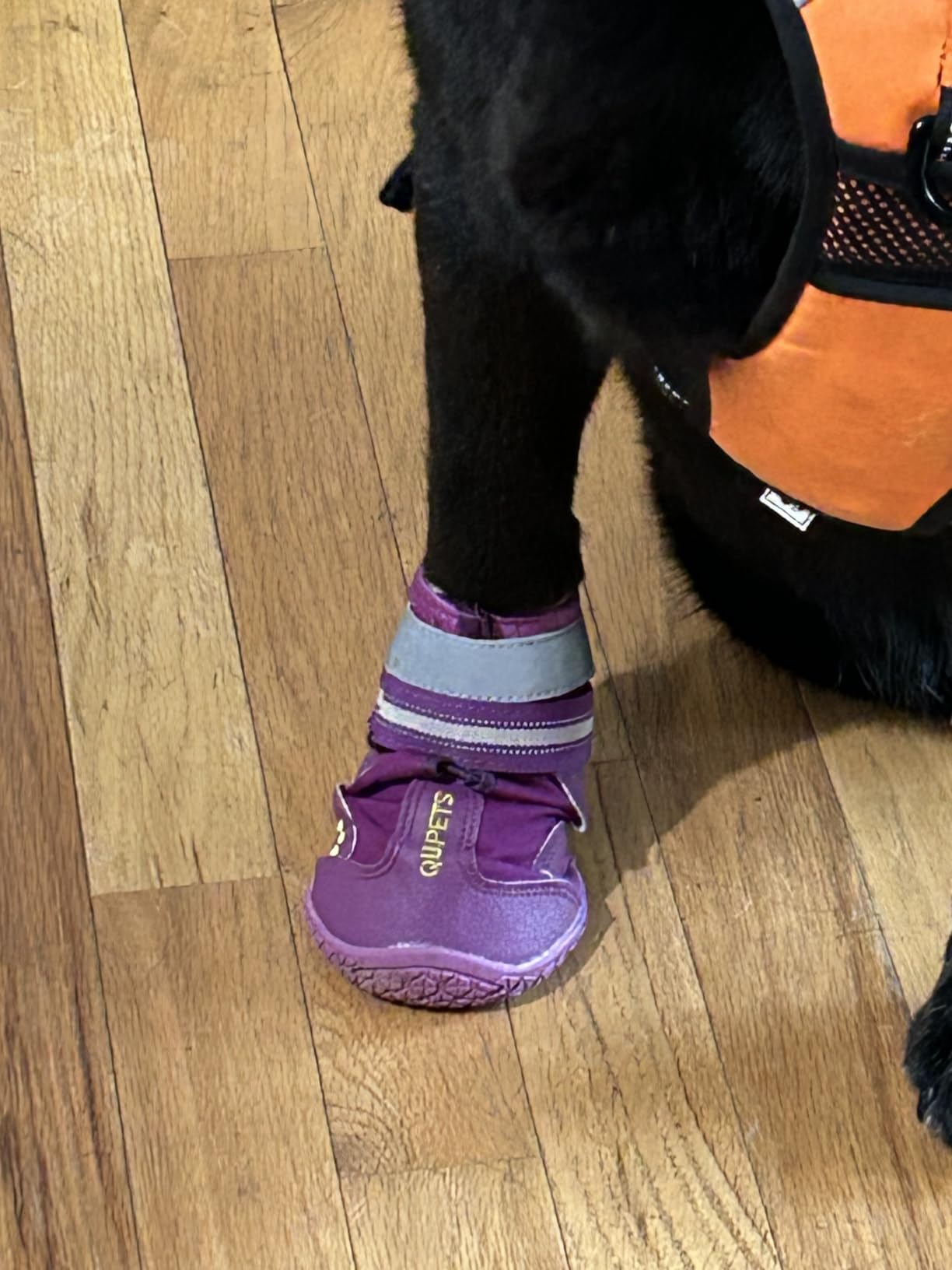 QUMY Dog Shoes for Hot Pavement, Dog Snow Boots & Paw Protectors for Winter, Dog Booties Medium Large Size Dogs, Water-resistant, Outdoor Walking, Indoor Hardfloors Skid-resistant Sole customer photo 1
