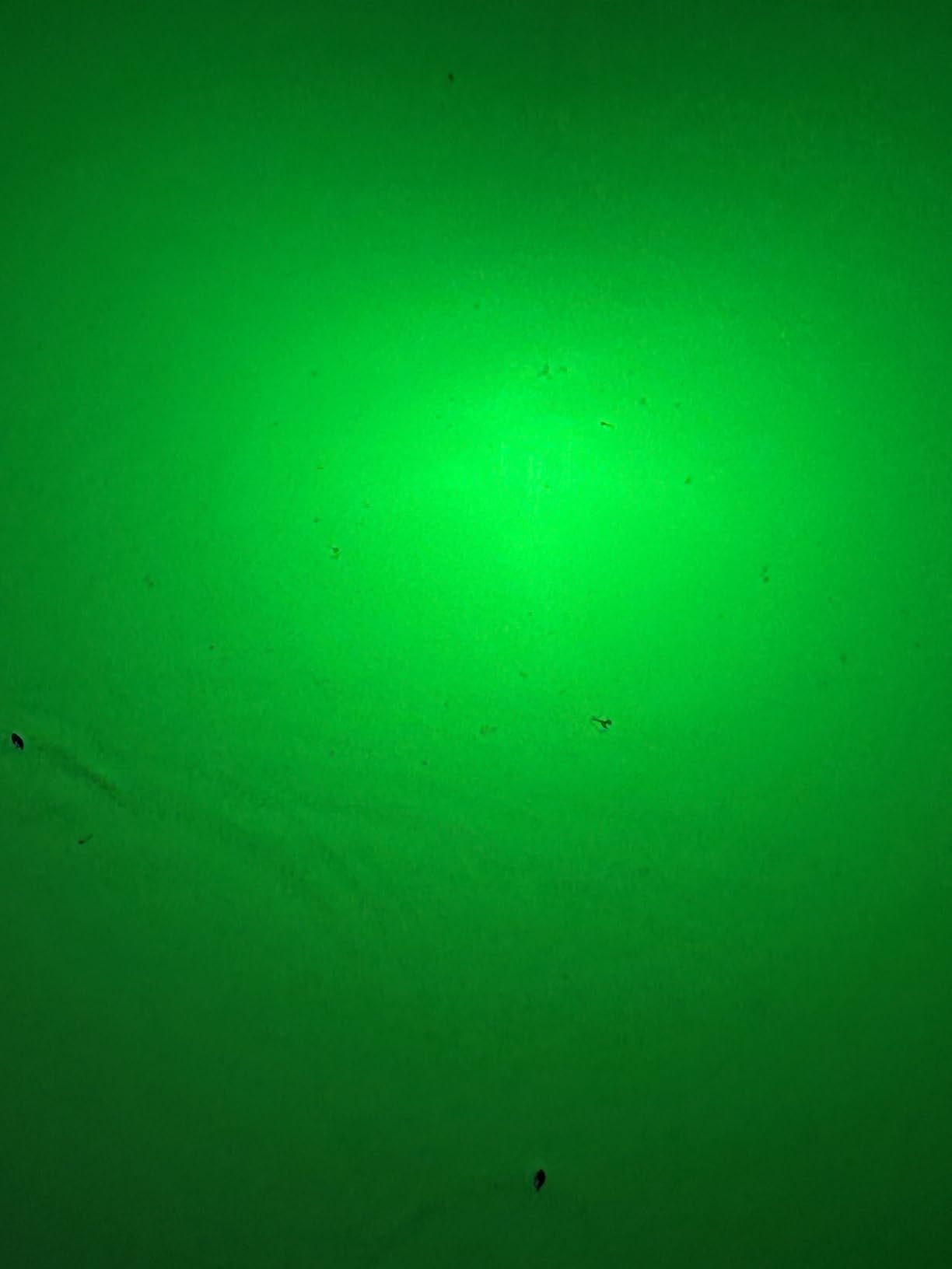 Underwater Fishing Light, 110V & 12V Super Bright Green LED Submersible Light Attractants for Docks, Boats or Kayaks, IP68 Rated for Fresh & Salt Water (30ft Cable) customer photo 1