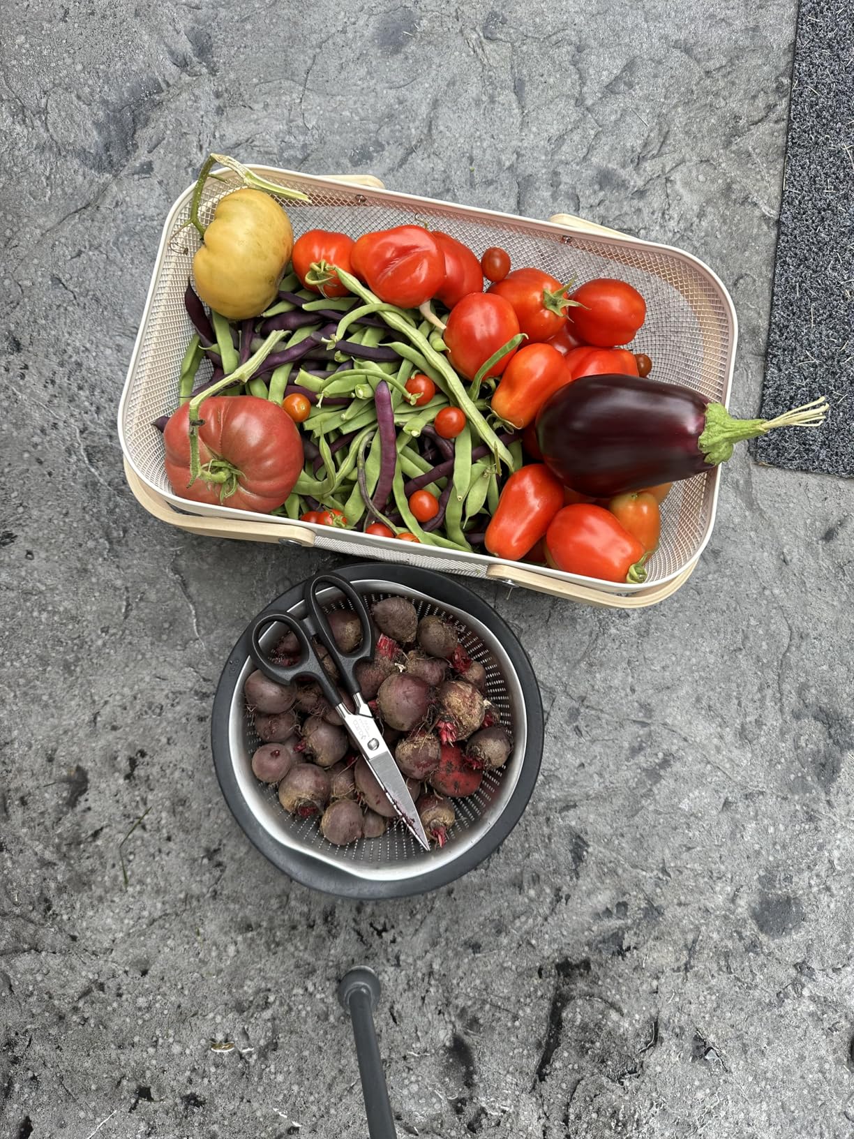 Portable Garden Harvest Basket-Mesh Design Natural Bamboo Handle Wire Storage Baskets, Suitable for Kitchen, Garden, Picnic customer photo 2