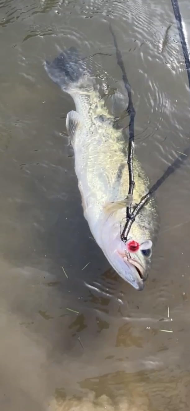OKUMA Trout Rod customer photo 1