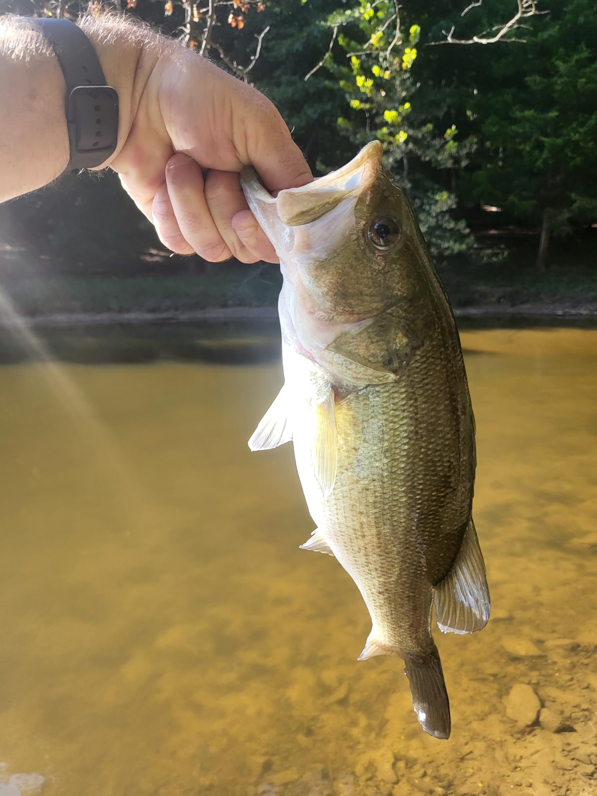 Shimano CURADO DC 200 Low Profile Reels (CUDC201HG) Fishing customer photo 1