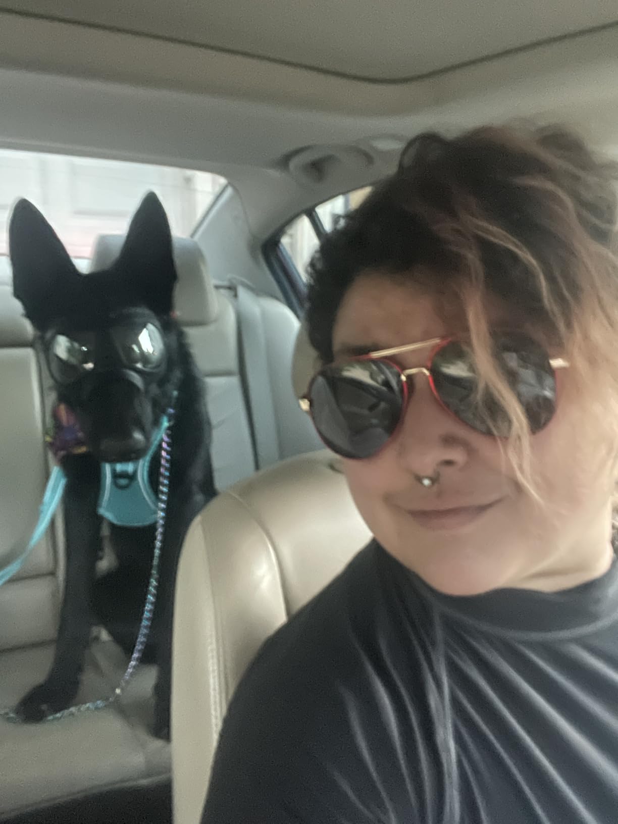 Clear Dog Goggles for Large Dogs, Wide Eyecup & Soft Frame, Anti-UV Dog Sunglasses Medium to Large Breed, Tactical Driving Dogs Eye Protection, Windproof Dustproof, Adjustable, Clear customer photo 1