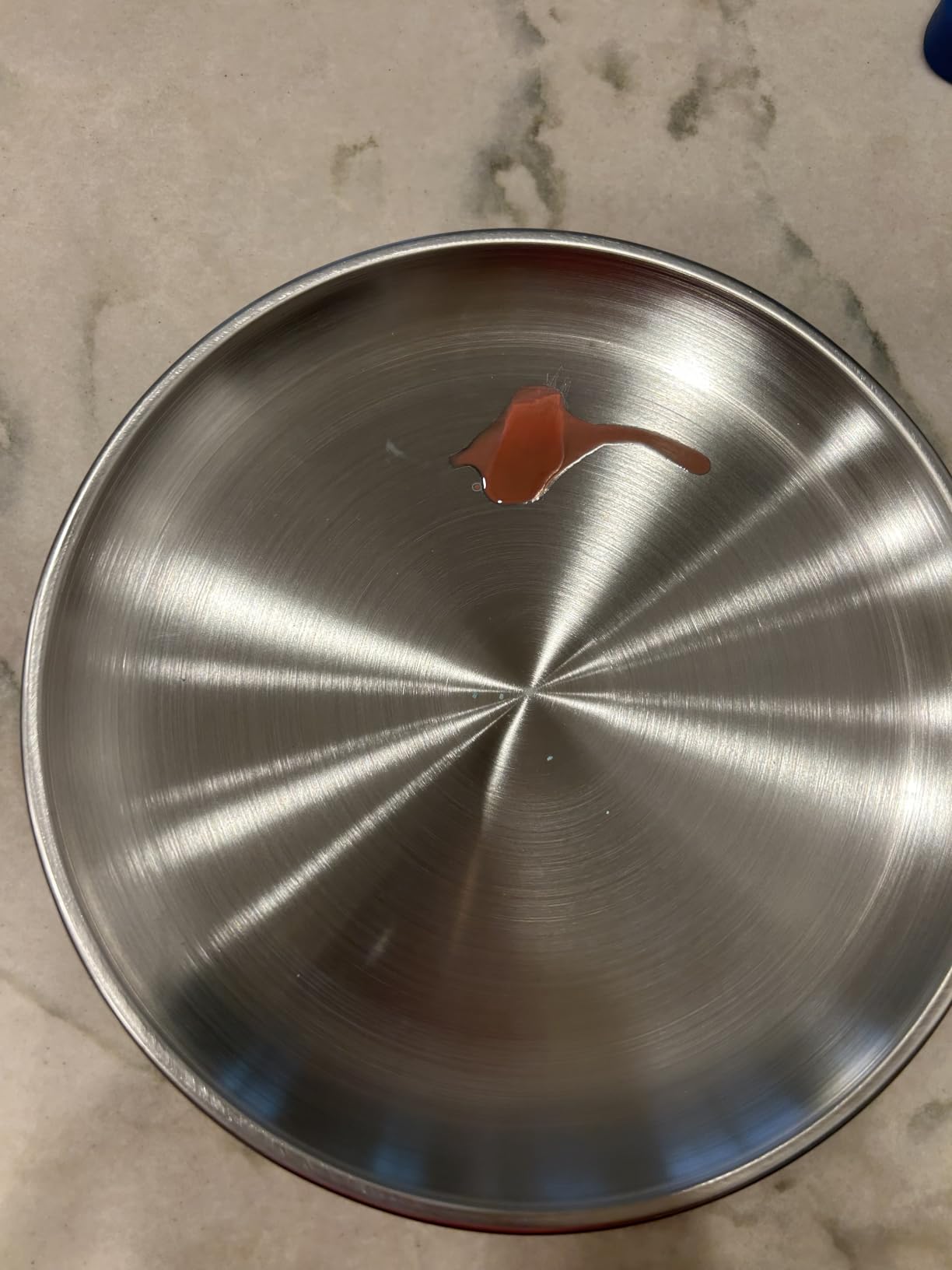 CAMBUY Stainless Steel Plates 10 inch 4 Pcs Metal Dinner Dishes Plate Set | Reusable Unbreakable Lightweight Non-Toxin Dishwasher Safe BPA Free Dish Set for Home Kitchen BBQ Restaurant Outdoor Camping customer photo 2