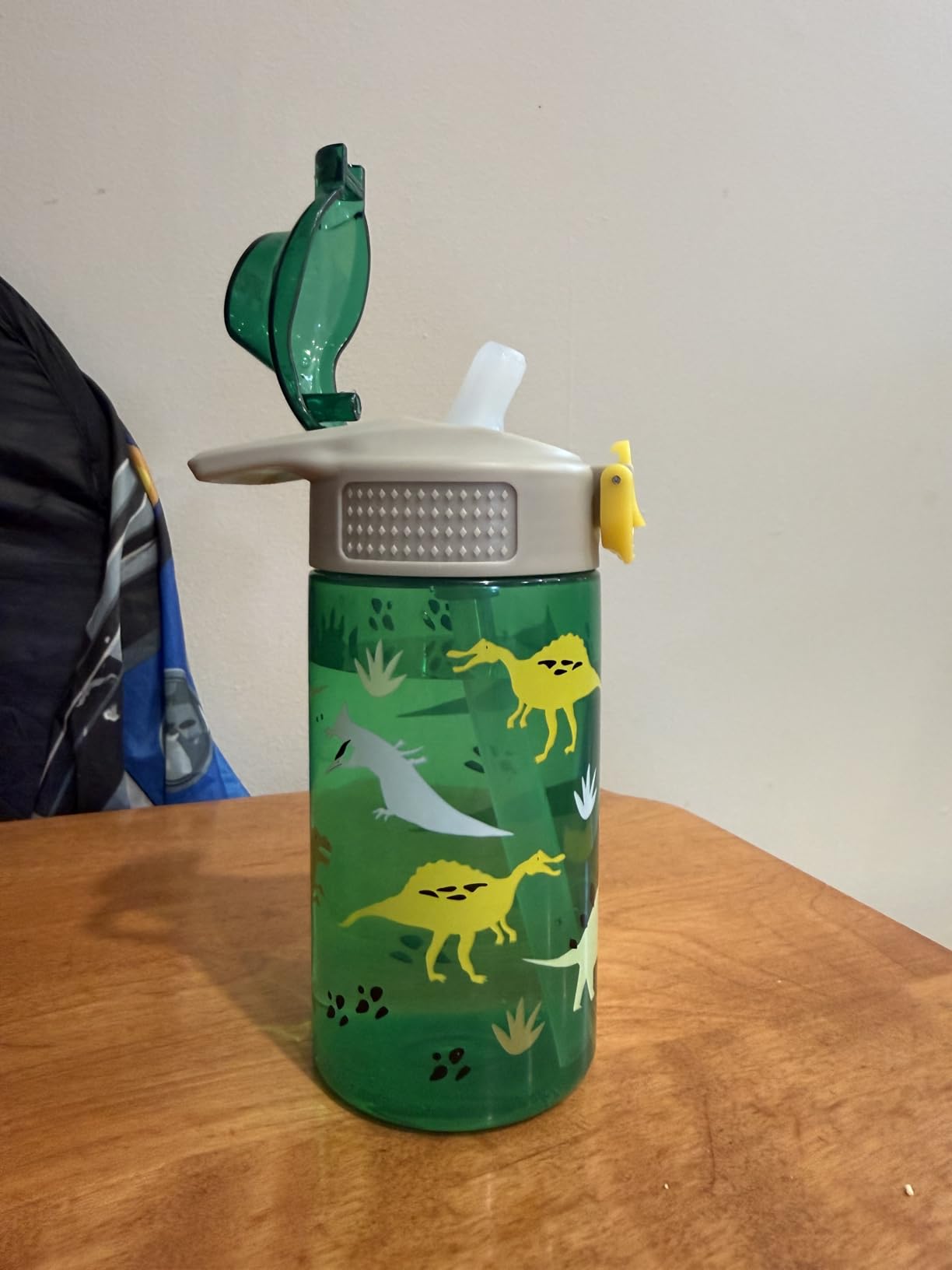 Zak Designs Dinosaur 16oz Leak-Proof Straw Kids Water Bottle, Plastic customer photo 1