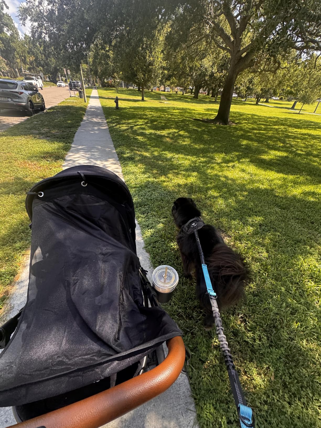 Stroller Sun Shade Extender - Universal Clip-On Baby Stroller Sun Shade Cover, UV Protection, Breathable See-Through Mesh customer photo 1