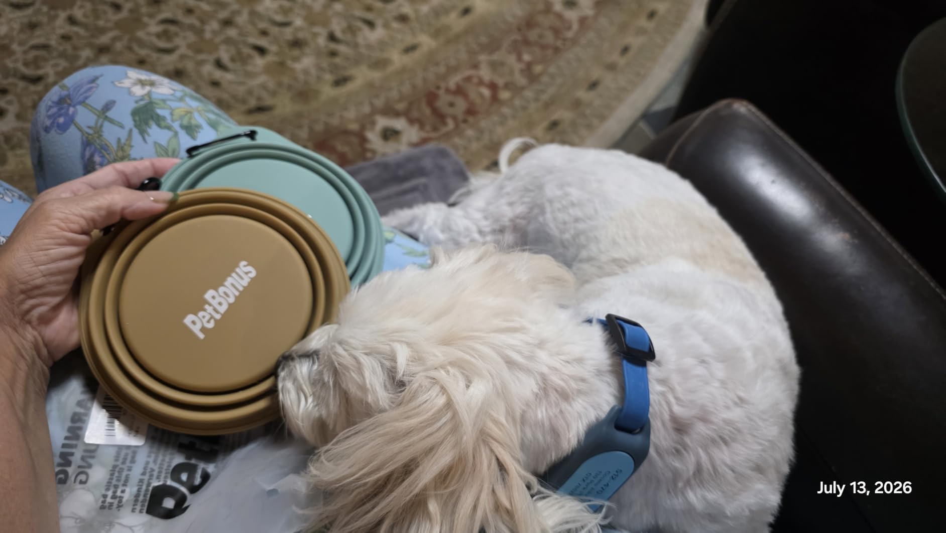 PetBonus 2-Pack Silicone Collapsible Dog Bowls, BPA Free Dishwasher Safe, Portable Foldable Expandable Travel Bowl, Food Water Feeding Cup Dish for Dogs Cats with 2 Carabiners (Turquoise, Tan) | 20 Oz customer photo 2