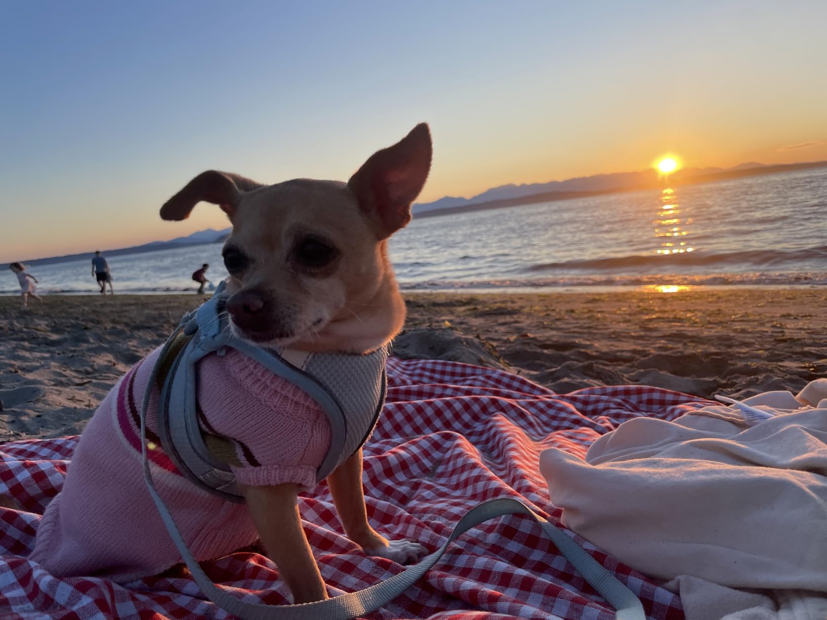 Picnic Outdoor Blankets Waterproof Extra Large - Beach Mat Sand Free Foldable with Carry Strap | Portable Camping Blanket | Park Blanket for Grass Park, Hiking, Travel, Concerts, Indoor (Grey Check) customer photo 2