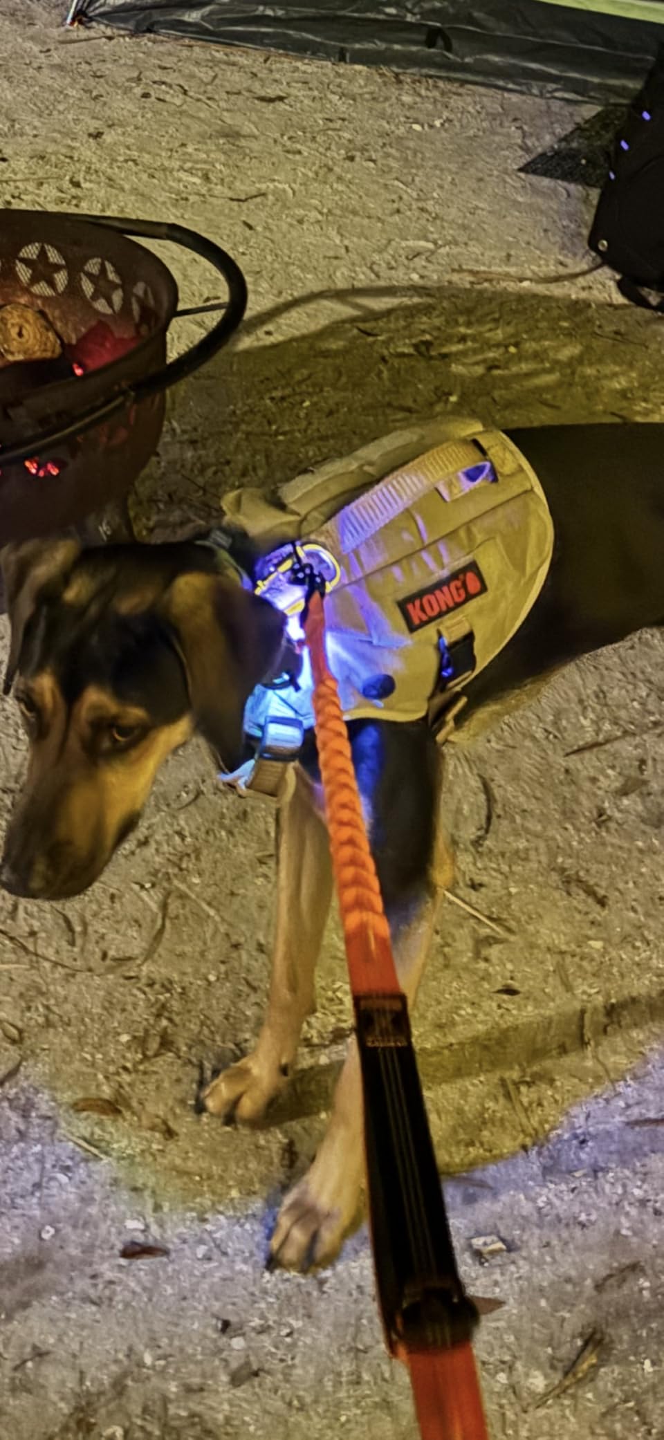 Dog Collar Light, 4 Modes Dog Lights for Night Walking, Rechargeable LED Pet Collar Light for Nighttime Clip on, IP68 Waterproof Pet Walking Accessories - 2 Pack customer photo 1