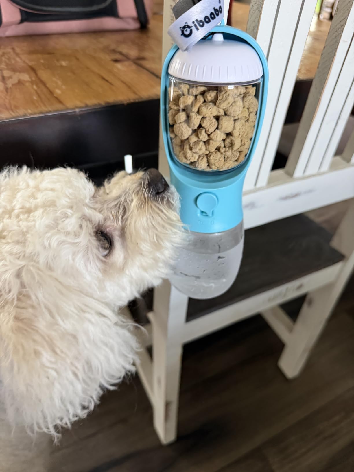 Cibaabo Dog Water Bottle Portable with Food Container & Filter for Travel | Feeding & Hydration | Travel Water Bowl | Portable Pet Dispenser | Dog Gifts | Puppy Essentials | for Hiking Camping Beach customer photo 2
