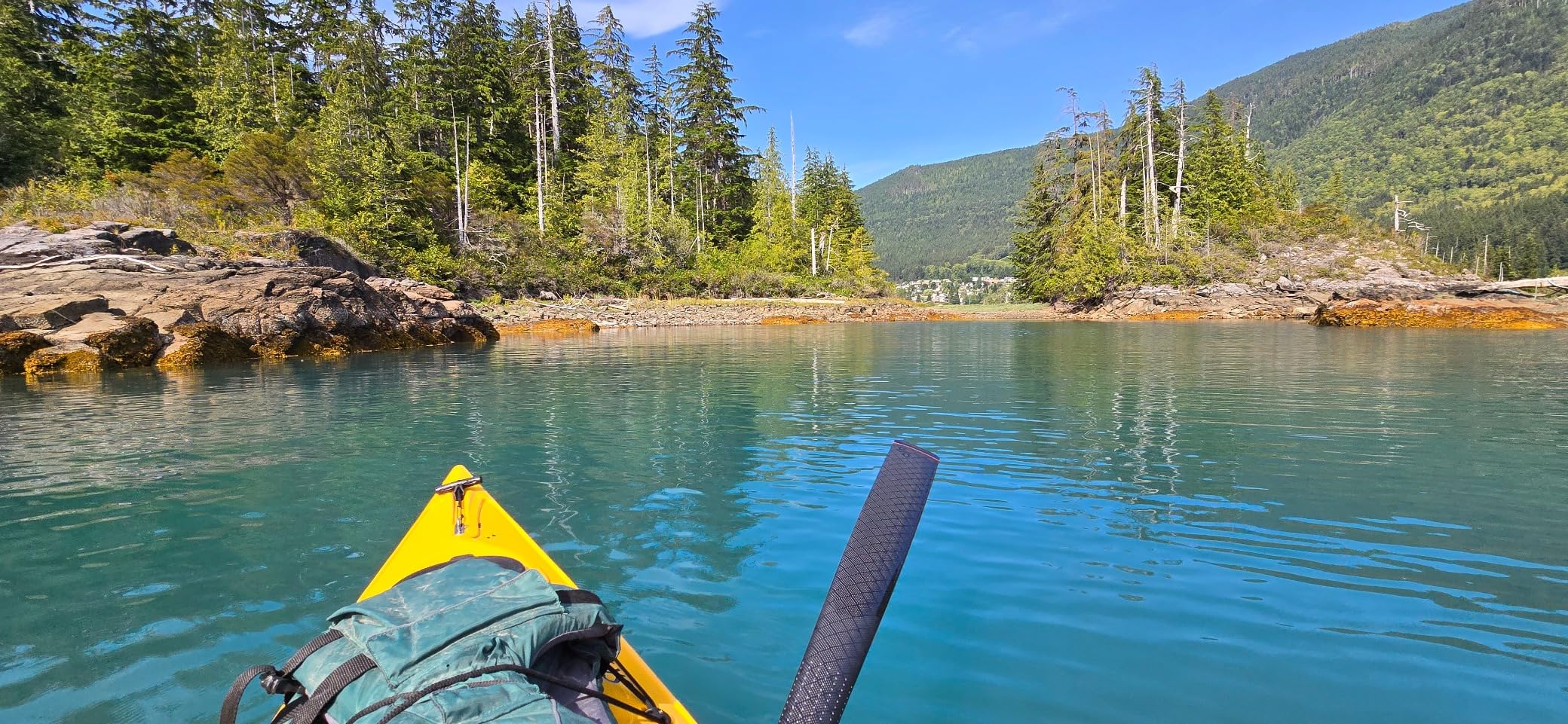 Gearlab Kalleq Kayak Paddle Set, Greenland Kayak Paddle, Paddle Bag, Color Tips - Carbon Black (220cm) customer photo 1