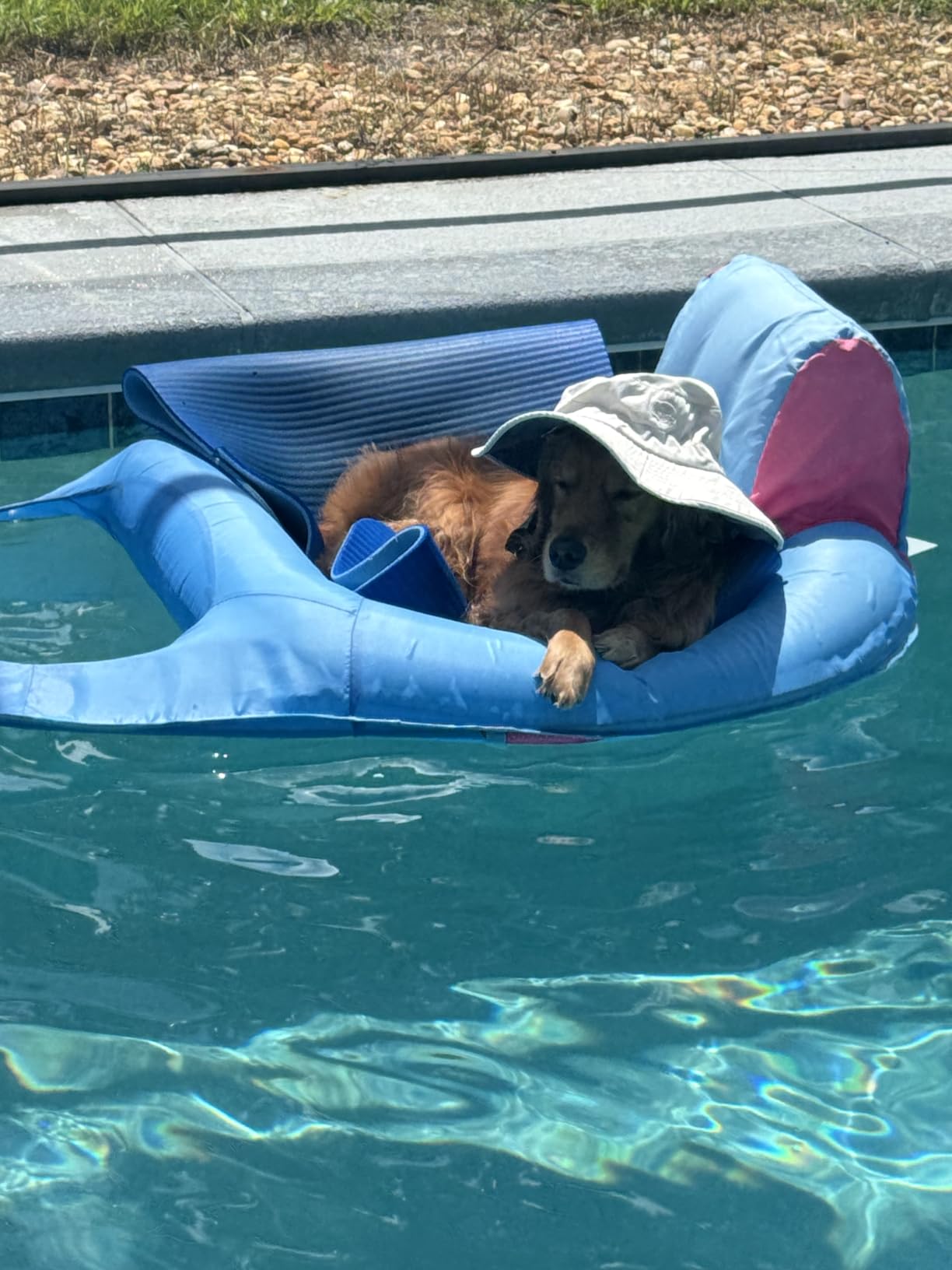 SwimWays Spring Float Recliner - Fast-Inflating Adult Pool Lounger customer photo 1