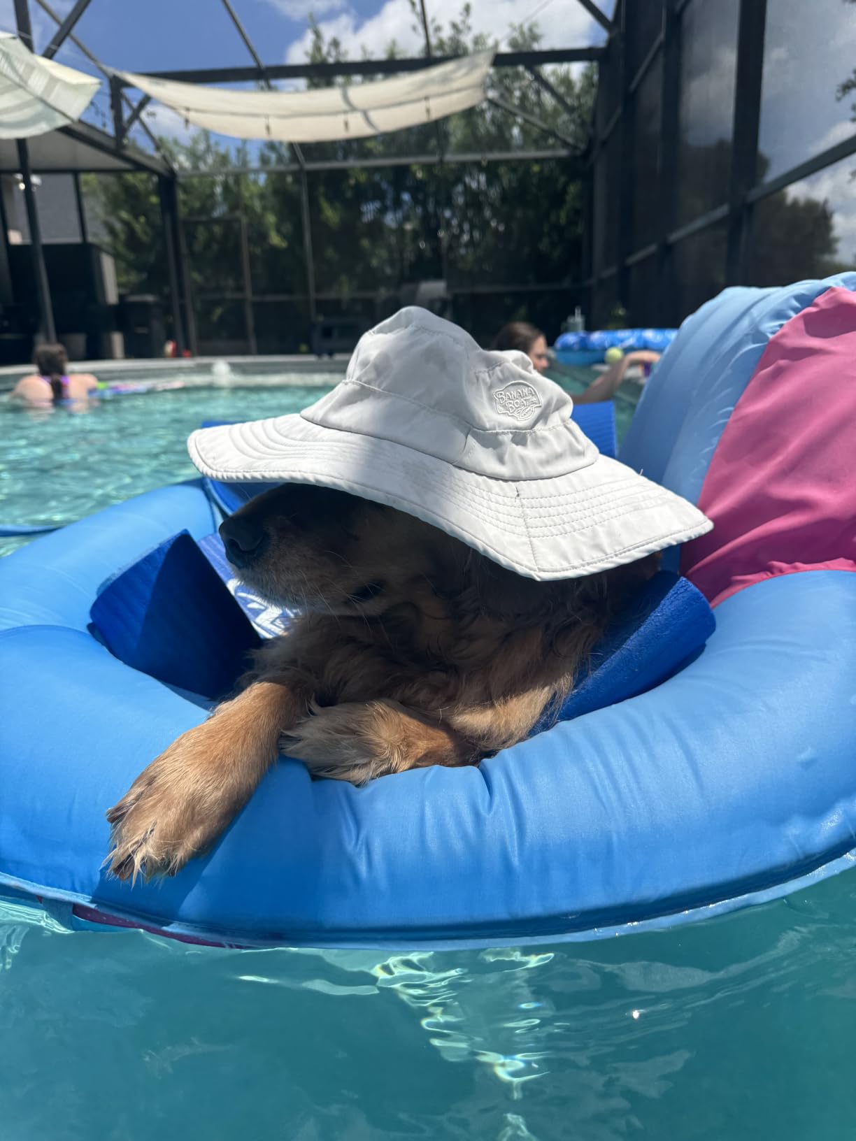 SwimWays Spring Float Recliner - Fast-Inflating Adult Pool Lounger customer photo 2