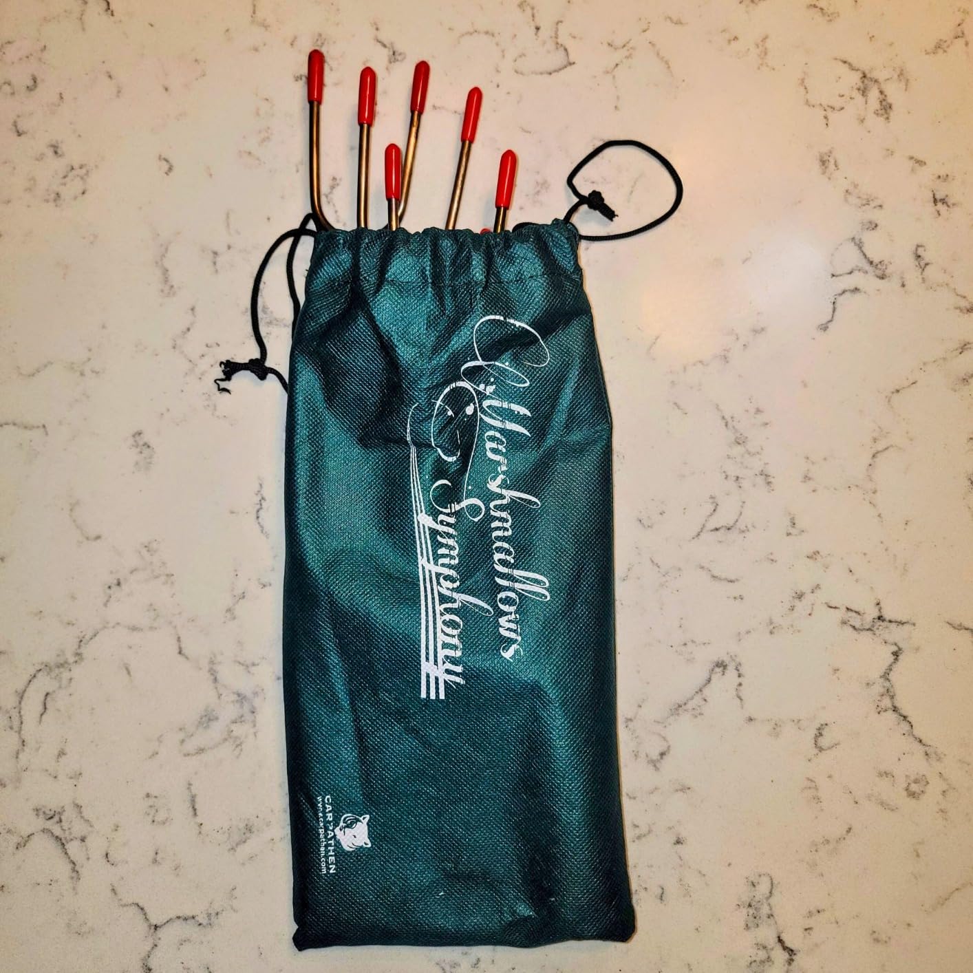 Smores Sticks, Marshmallow Roasting Sticks for Fire Pit, 10 pcs | Perfect as a Gift - Beautifully Engraved Handles - Telescoping Stainless Steel Hot Dog Sticks Skewers customer photo 1