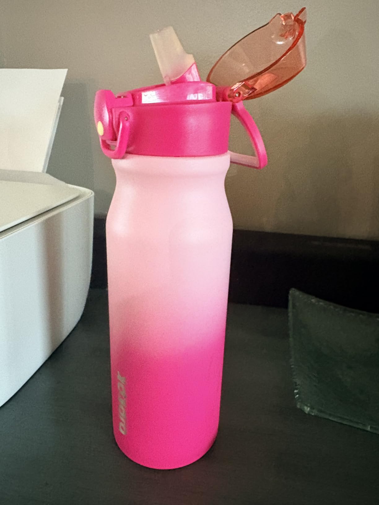BJPKPK 18 oz Water Bottle with Straw & Handle, Insulated Stainless Flask customer photo 1