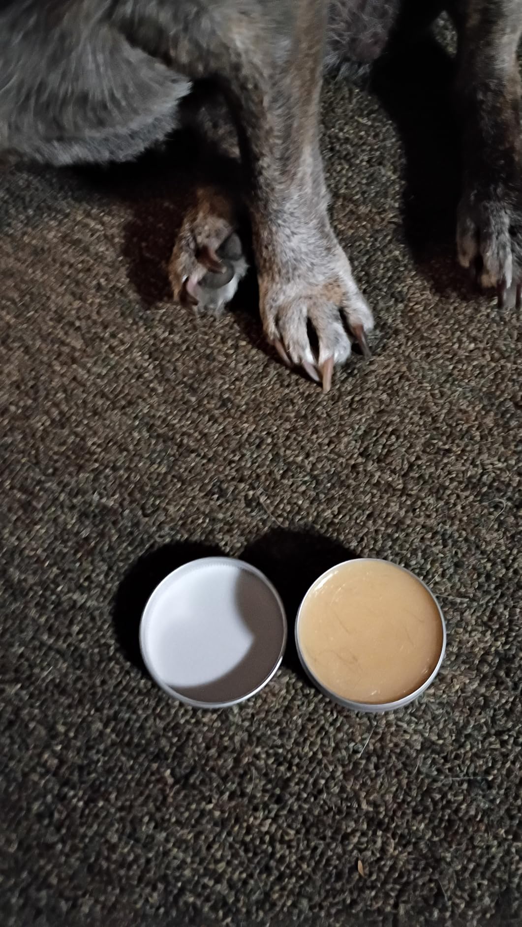 Finn Paw Hero Dog Paw Balm - Hot Pavement Protection - Lick-Safe - 1.75 oz | Olive & Avocado Oil, Beeswax & Aloe - 7 Natural Ingredients - Softens Dry, Cracked Pads customer photo 1