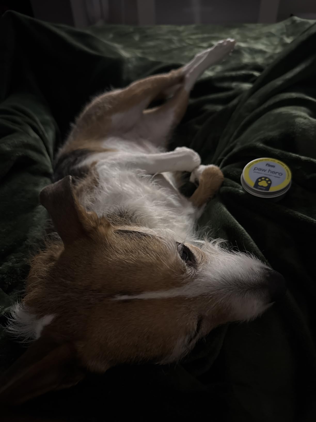 Finn Paw Hero Dog Paw Balm - Hot Pavement Protection - Lick-Safe - 1.75 oz | Olive & Avocado Oil, Beeswax & Aloe - 7 Natural Ingredients - Softens Dry, Cracked Pads customer photo 2