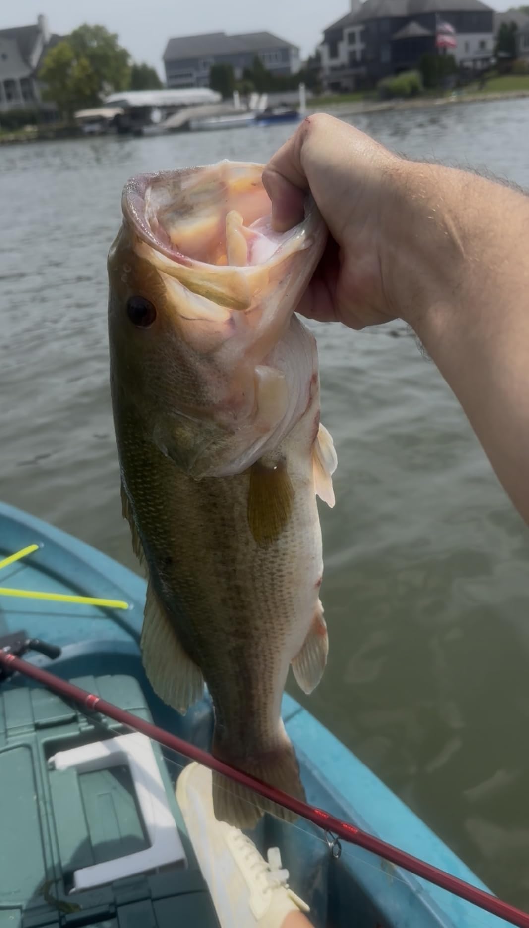 Reaction Tackle Stand-Up Shaky Head Jigs for Bass Fishing, Finesse Worm Jig Heads for Spinning Rod Setups, Largemouth and Smallmouth (5-Pack) customer photo 1