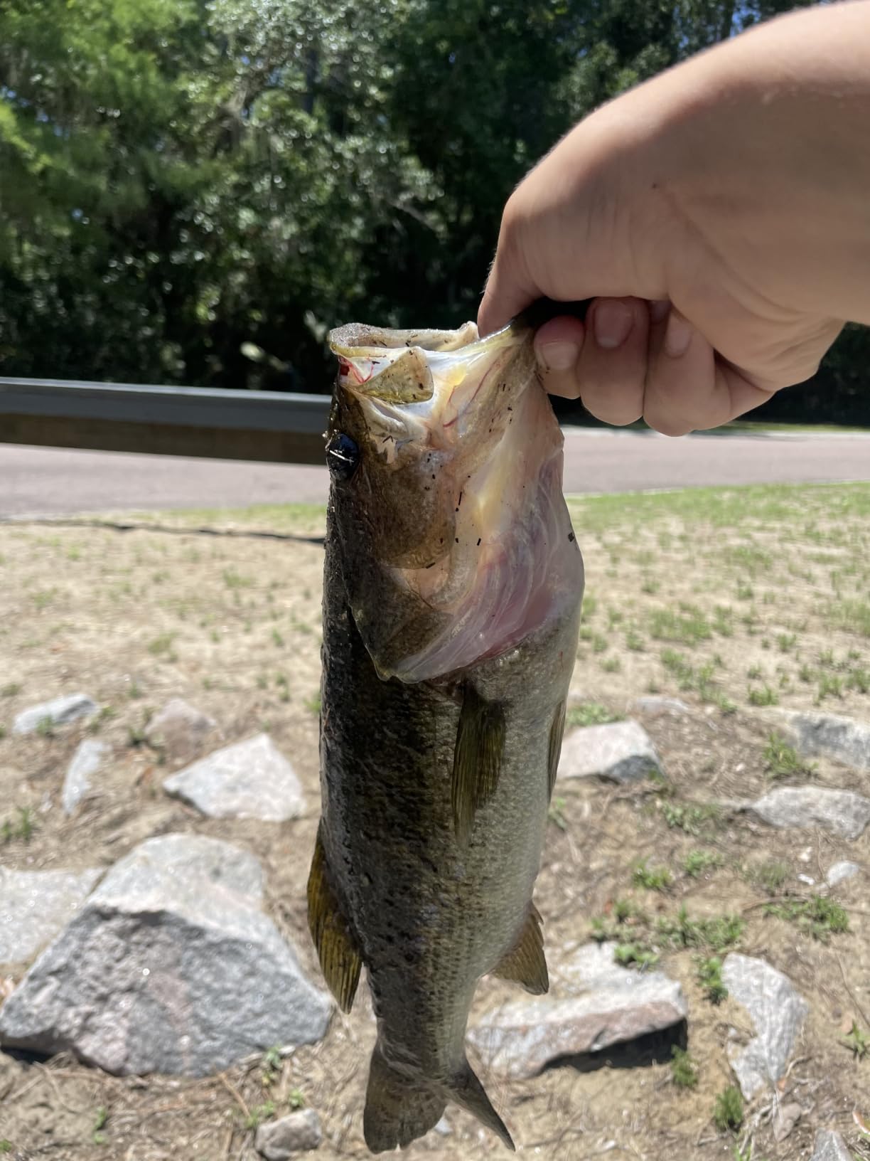 Z-Man Chatterbait Elite Evo customer photo 1