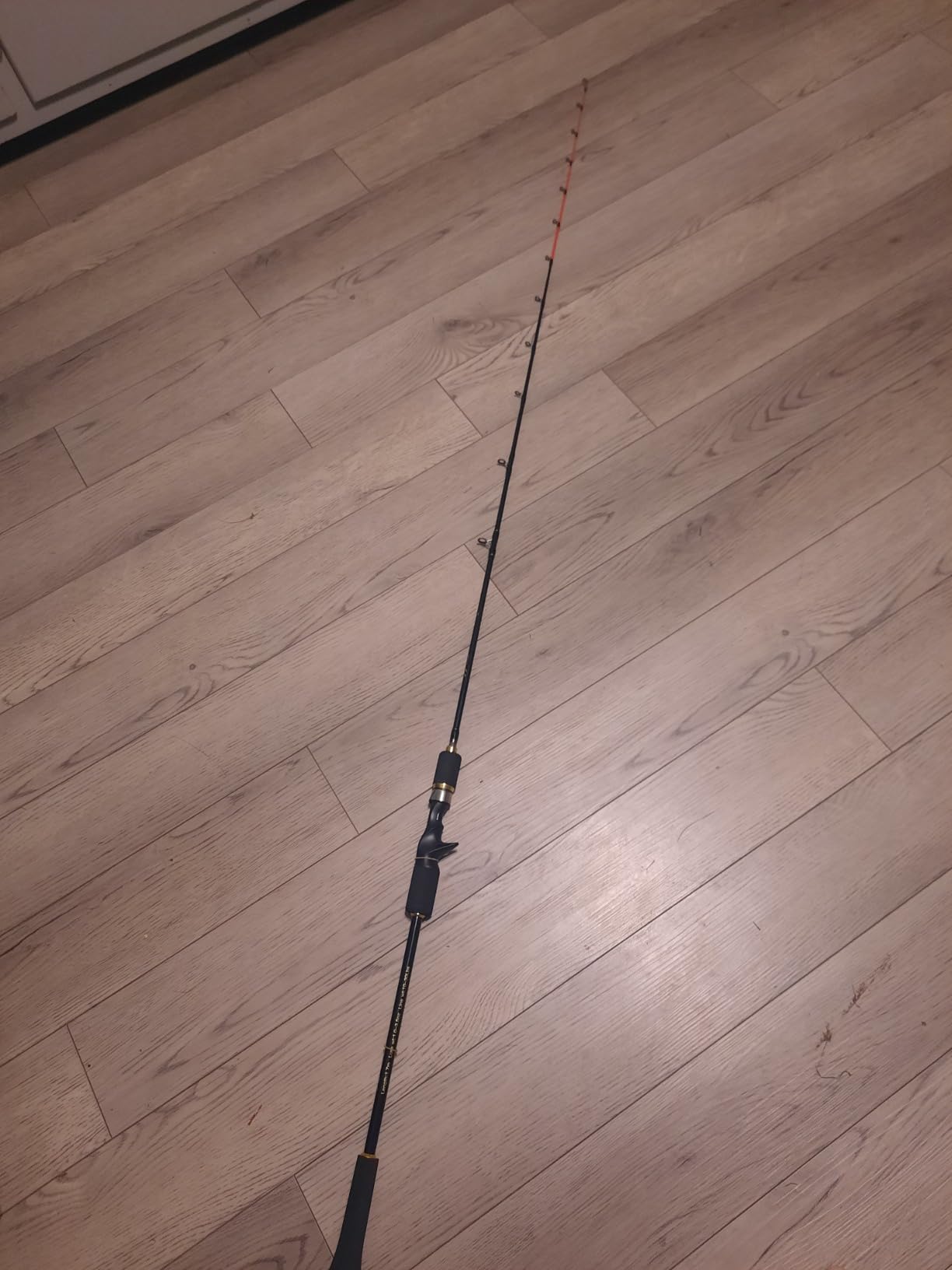 Sougayilang Slow Pitch Jigging Rod, 40 Ton Carbon Fiber Blank, 2-Piece Casting Rod for Snapper, Grouper, Tuna, Hairtail and Spanish Mackerel customer photo 2