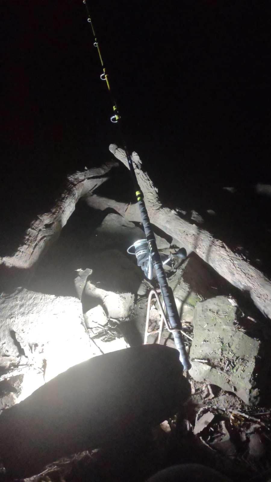 Berkley Trilene Big Game Braid Fishing Line customer photo 1