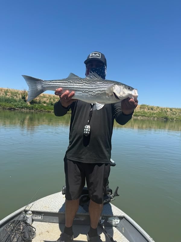 OJY&DOIIIY Swimbait Jig Heads with Chartreuse Fish Eye, 1/8 3/16 1/4 3/8 1/2oz Jigheads for Freshwater&Saltwater Fishing 10/15 Pack customer photo 2