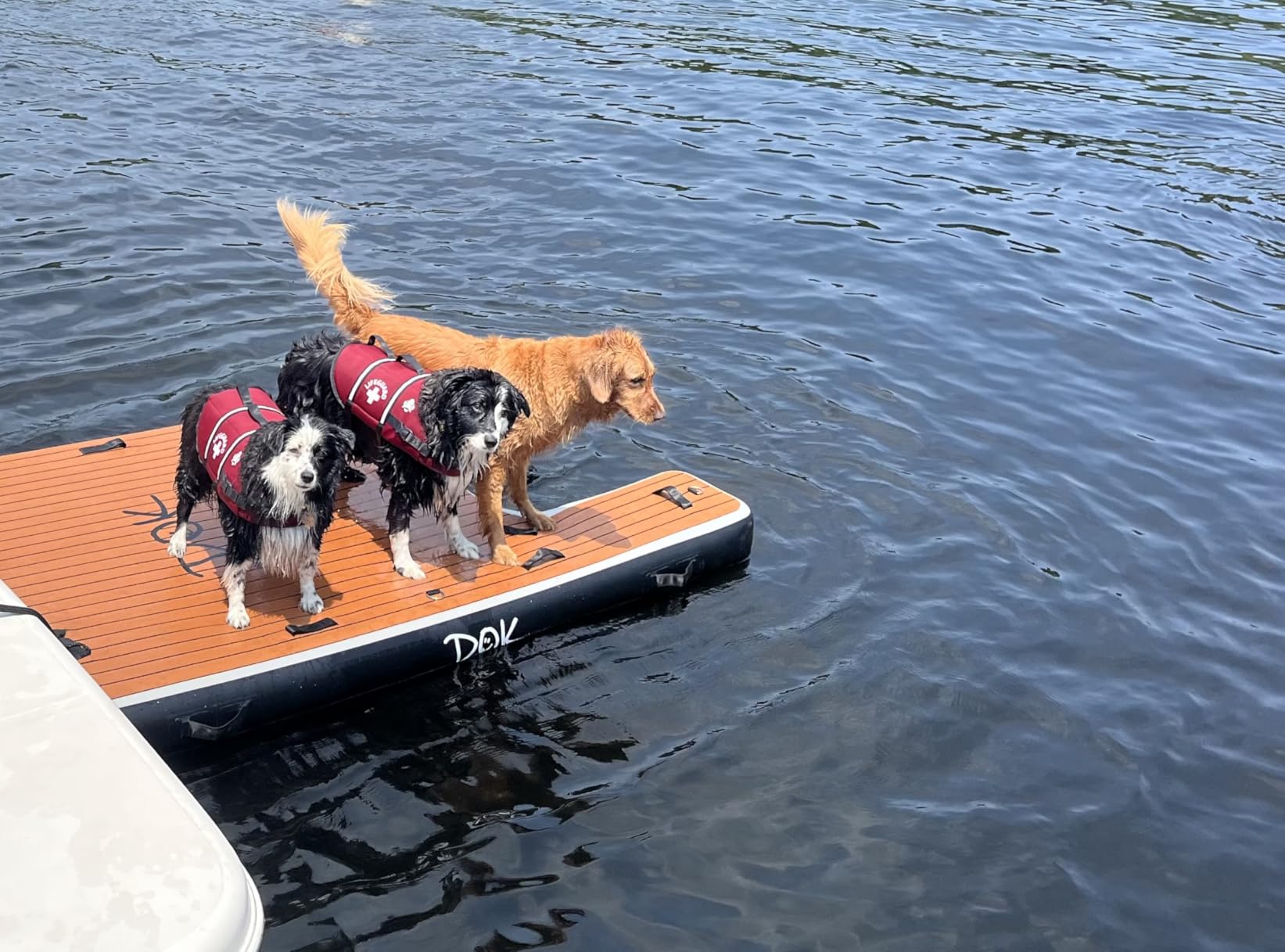DOK Party-DOK Inflatable Dock Platform: Safe & Easy Water Access; Floating Non-Slip EVA Foam with Water Ramp for Pool, Dock, & Lake | Military Grade & High Visibility customer photo 2