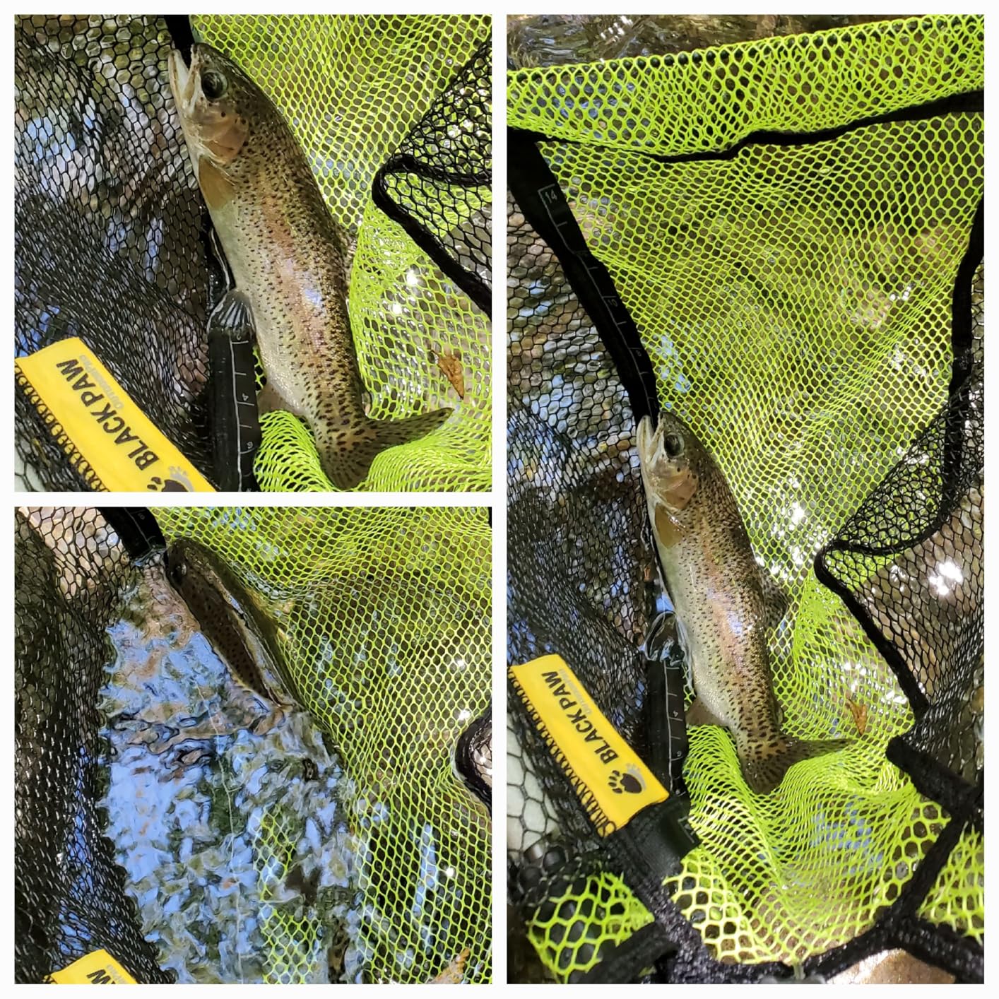 SF Shadow Walker I Euro Nymph Rod European Nymphing Fly Fishing Fly Rod 2wt 3wt 10FT Shadow Yellow 24T Carbon Fiber with Durable Rod Tube, Medium Fast Action Fly Rod 4 Pieces customer photo 1