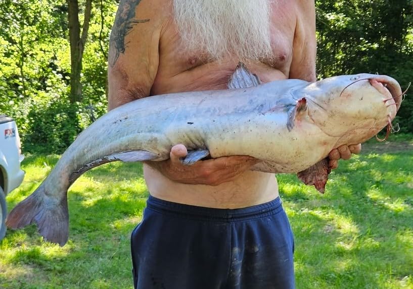 Monster Catfish Casting Rod, 7' MH Glow-in-Dark 1-Piece | Glow catfish rod with S-glass carbon blank, EVA grip, stainless guides, 10-50lb line and 1-10oz lures for night fishing customer photo 1