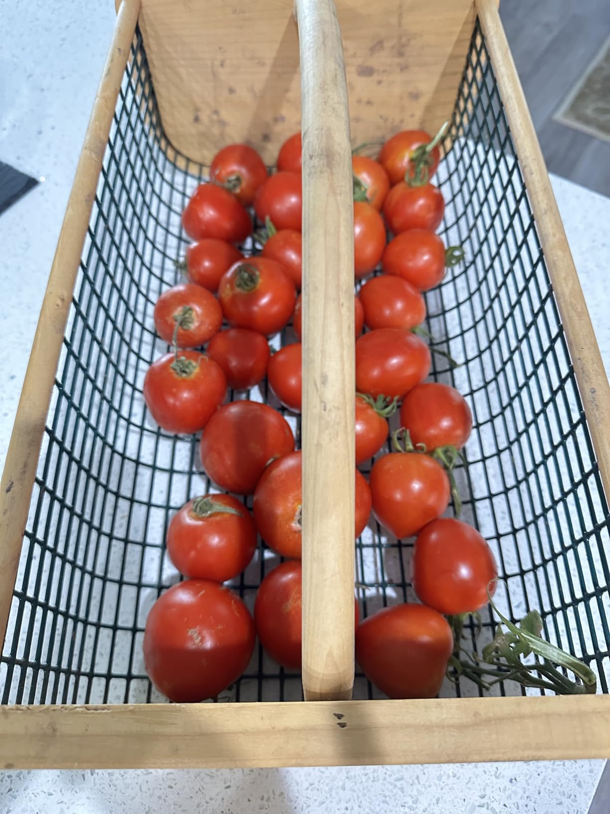 Maine Garden Hod Basket for Vegetable Gardening and Harvest Gathering, Pine and Oak with PVC Wire Mesh, USA Made, 16 x 9 in, 8 quart customer photo 1