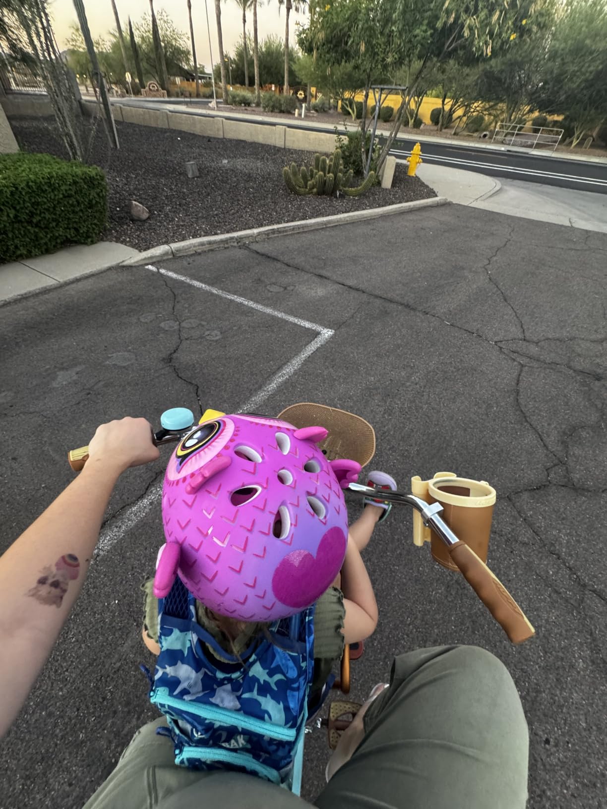CamelBak Mini Mule Hydration Pack 50oz, Sharks | Sized for Young Adventurers, Hydration That Supports Active Play, Flexible Storage for Essentials customer photo 1
