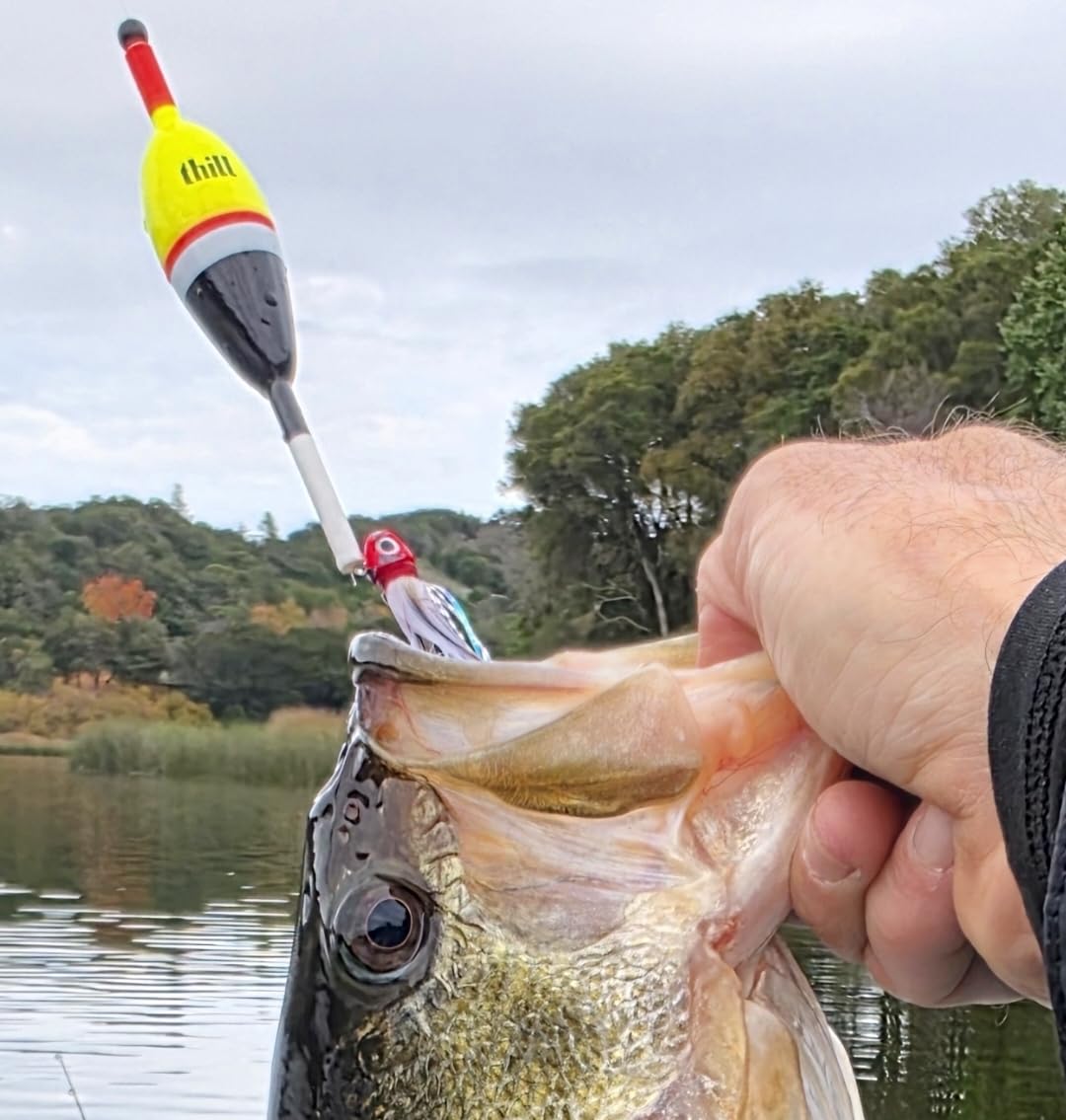 Dovesun Hand-Tied Bucktail Hair Jigs Fishing Lures for Walleye, Trout and Panfish - 10 Colors 1/32oz 1/16oz 1/8oz customer photo 1