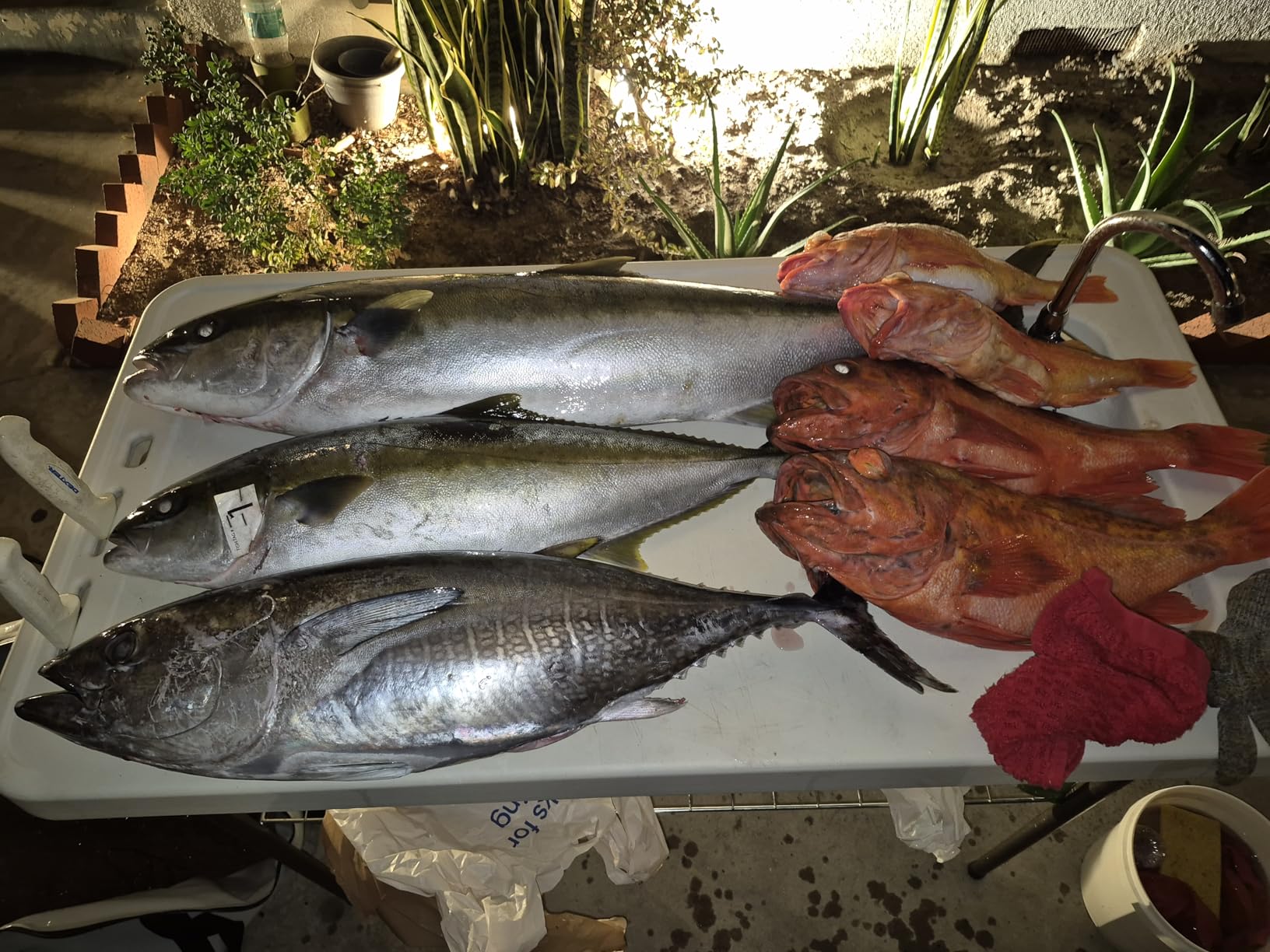 48'' Fish Kill Bag Game Bag Leak Proof Insulated for Offshore Inshore Fishing Designed in USA (48X24) customer photo 1